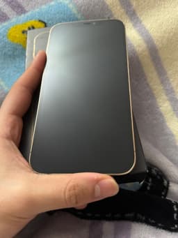 iPhone 12 Pro Max 256GB, 100% batterihälsa
