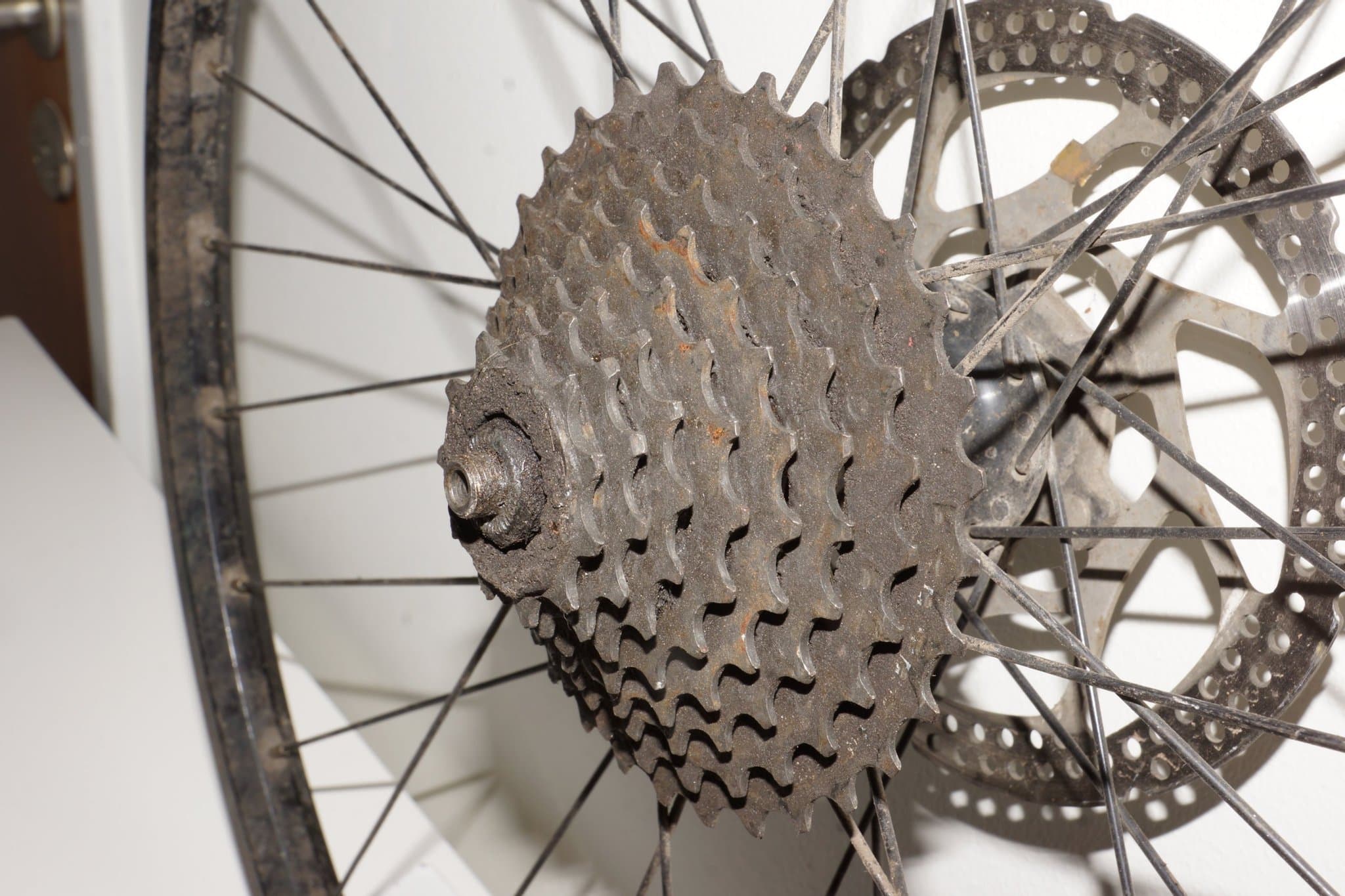 Cykelfälg med kassett och bromsskiva 26"