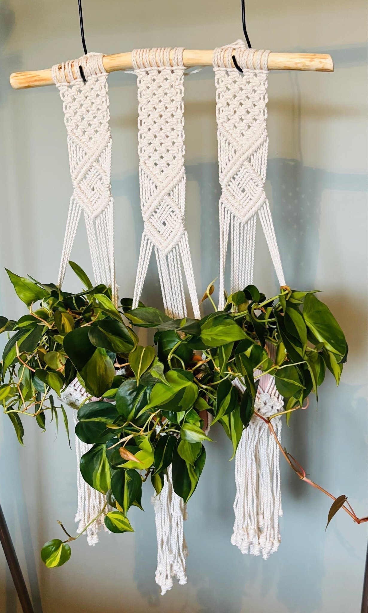 Ampel / växthängare -JUNNIE TRIPPEL