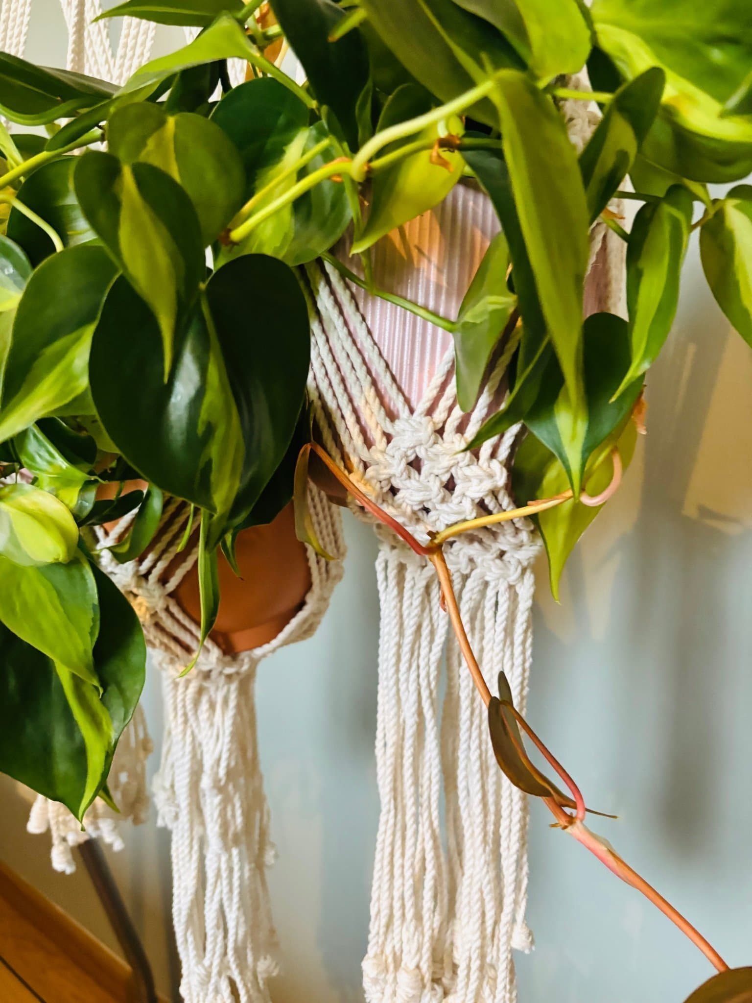 Ampel / växthängare -JUNNIE TRIPPEL