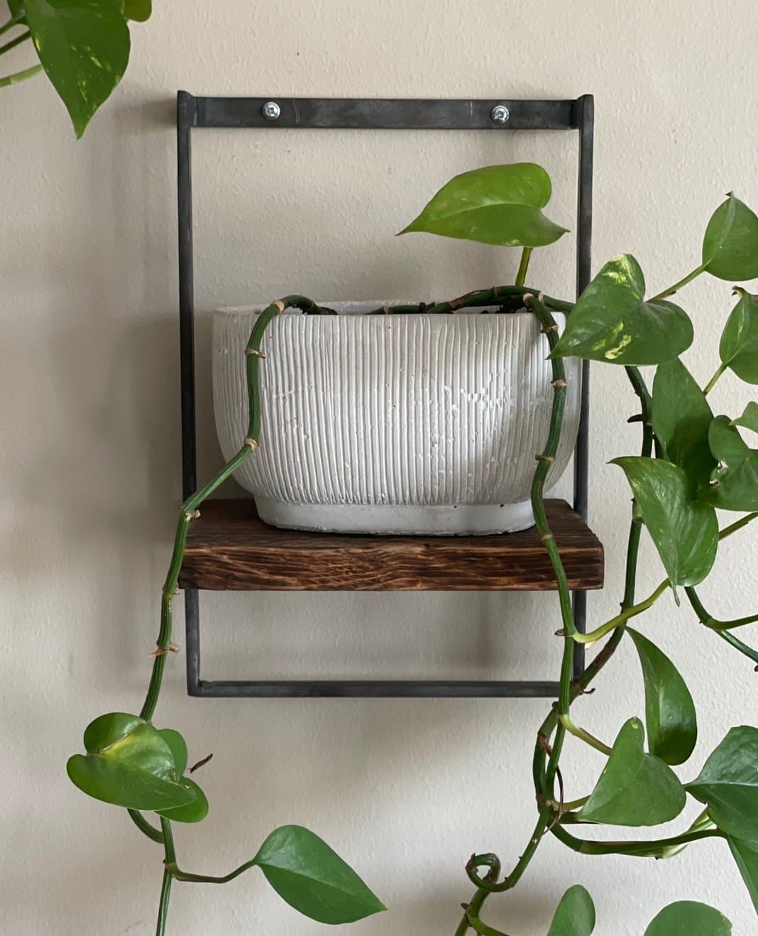 Vägghylla med trähylla