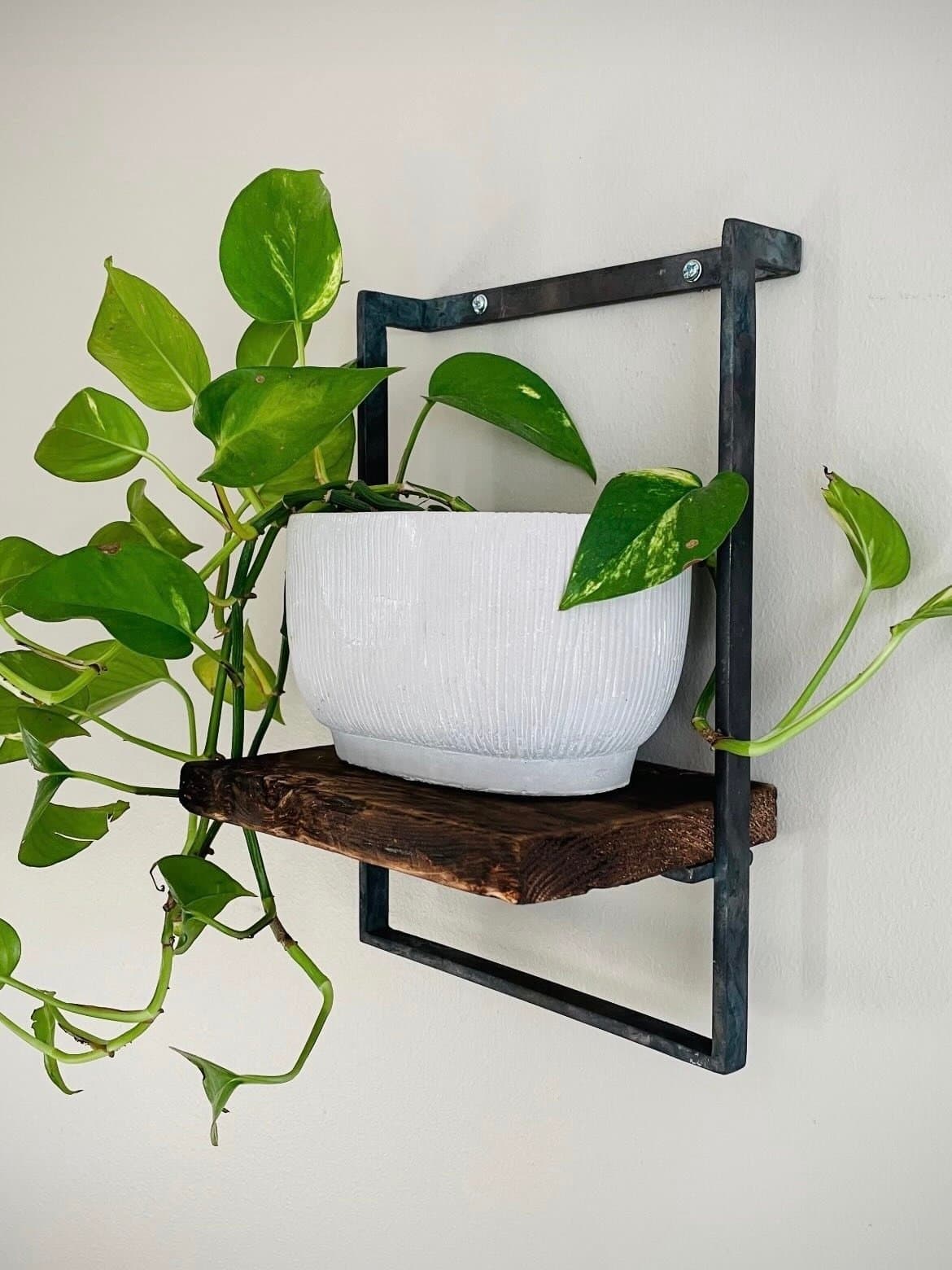 Vägghylla med trähylla