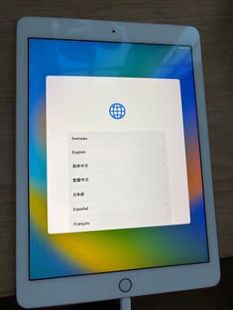 iPad Pro 9,7 1st gen