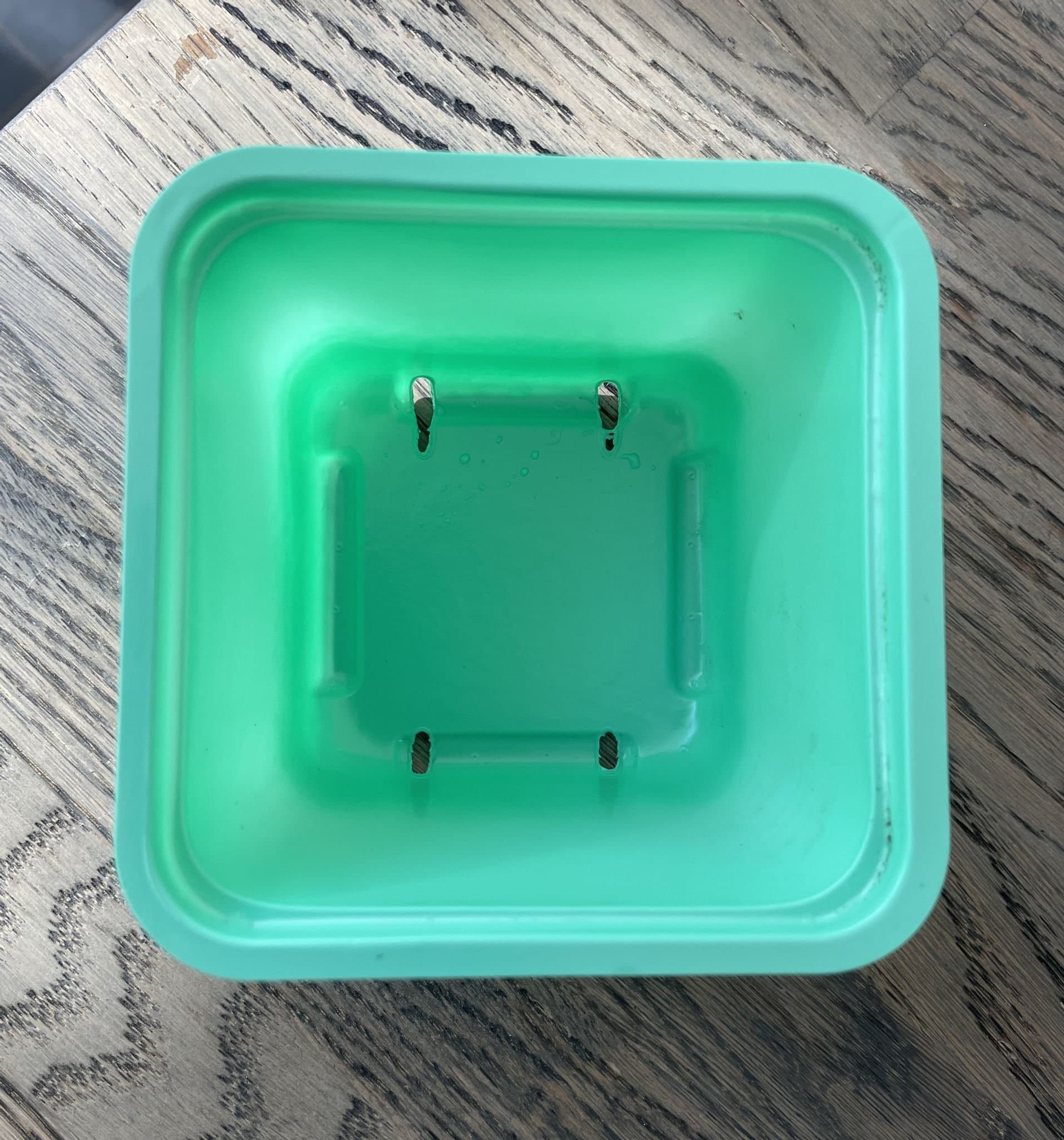 Odlings krukor/burkar för sådd 50 st