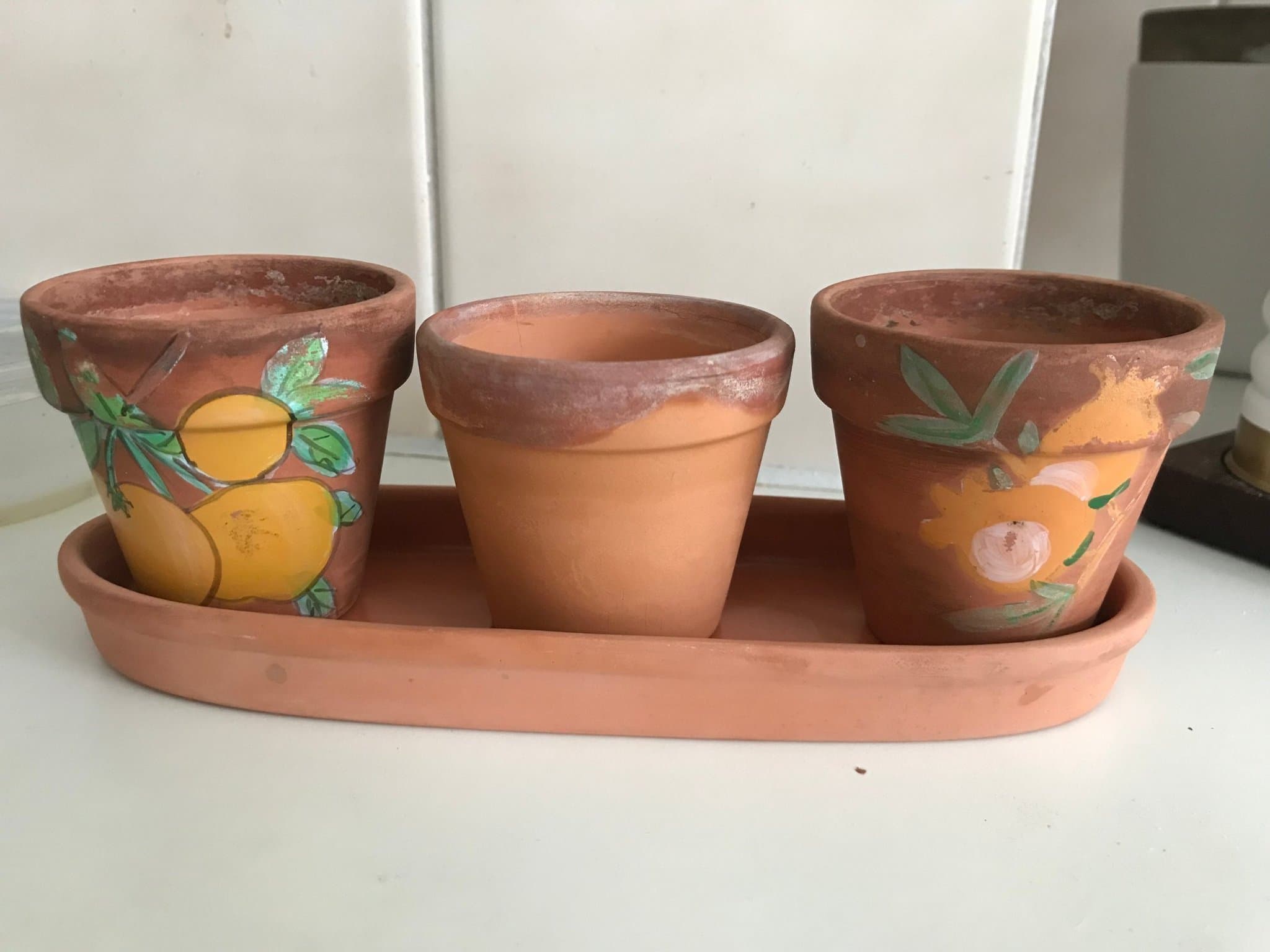 Terracotta så krukor på fat