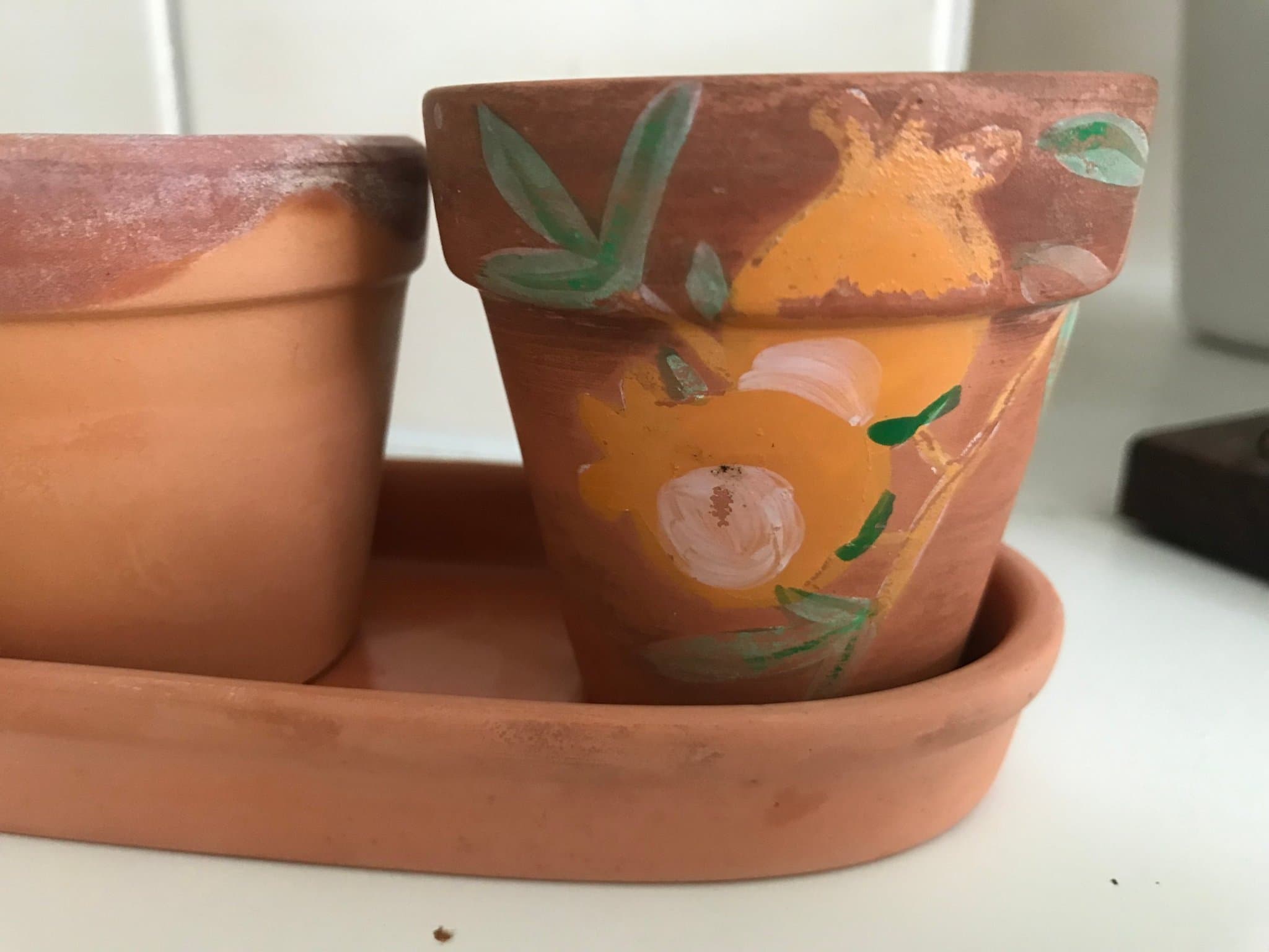 Terracotta så krukor på fat