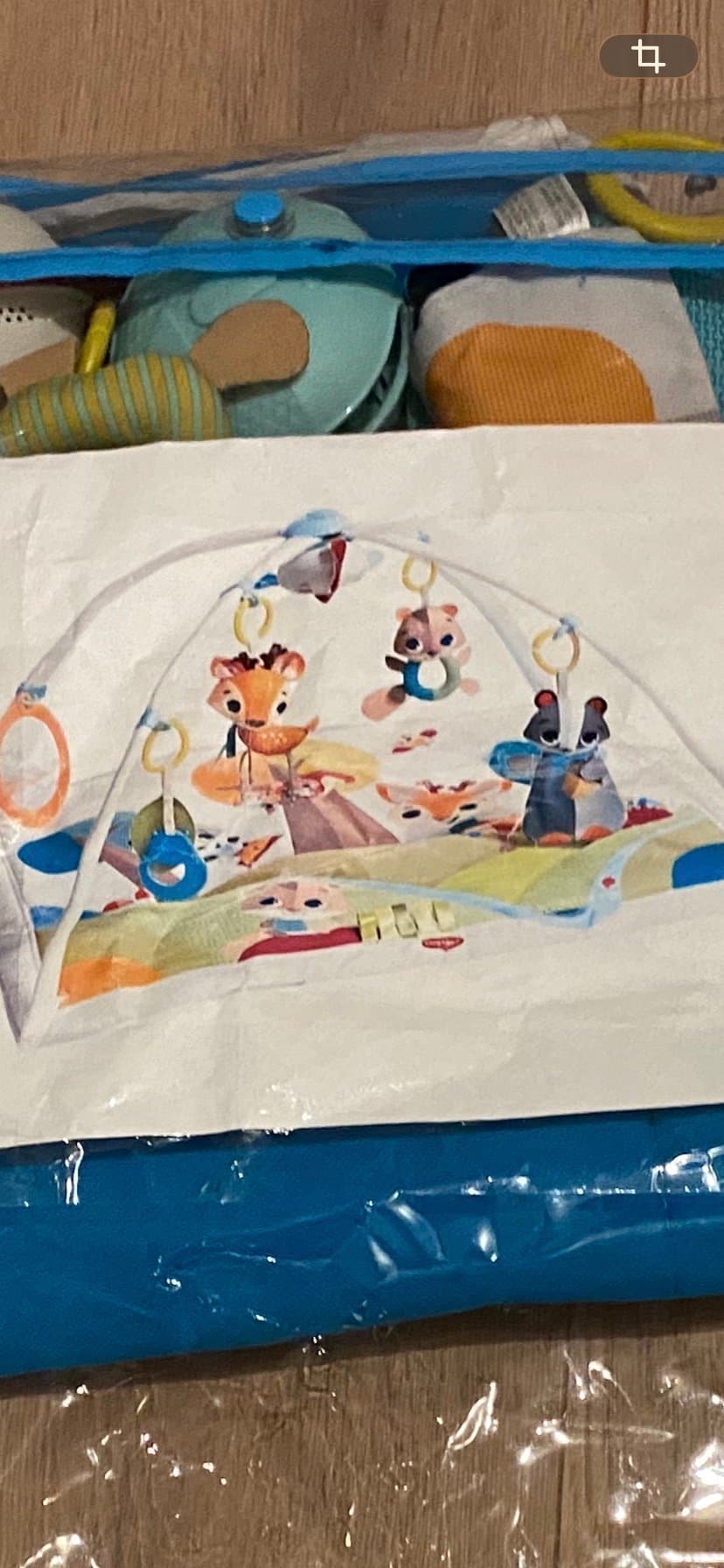 Tiny Love Deluxe Gymini Into The Forest gym