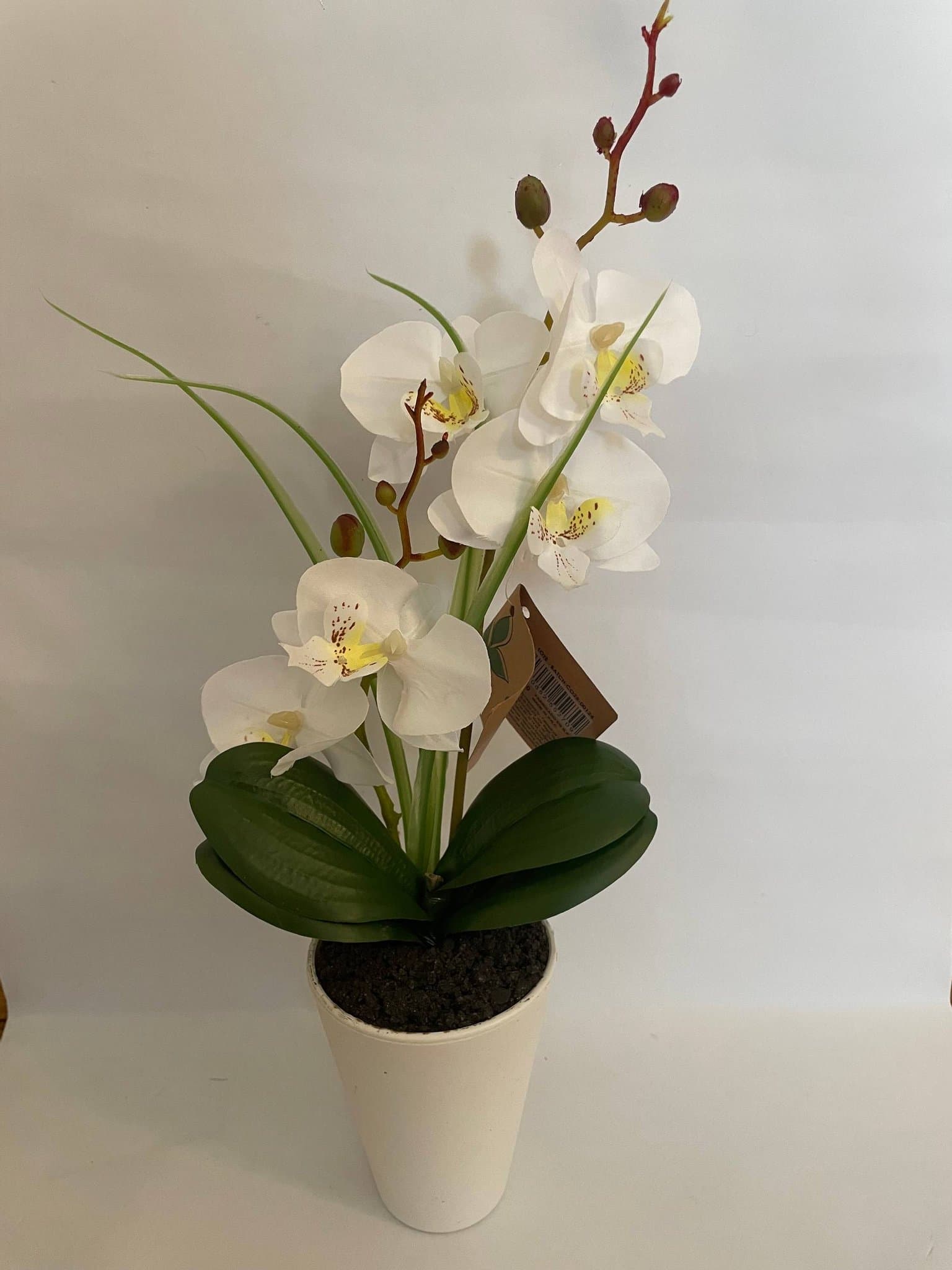 Konstgjord Orkide/ Vit i vit kruka