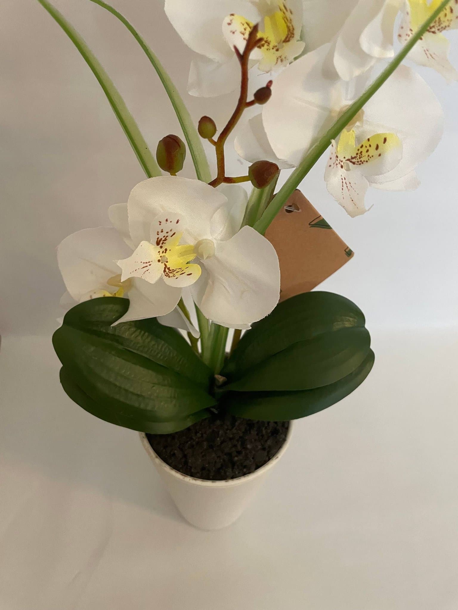 Konstgjord Orkide/ Vit i vit kruka