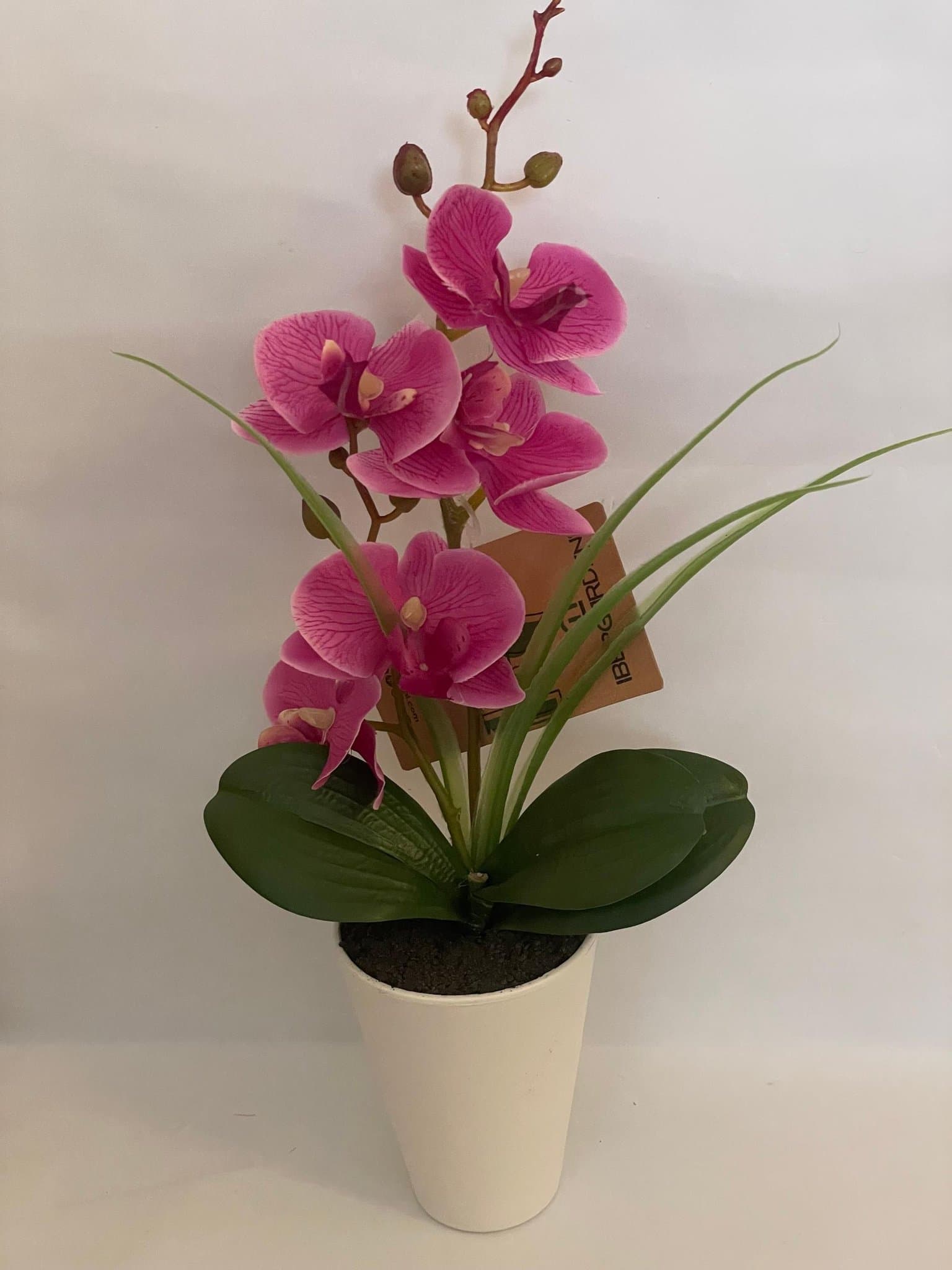 Konstgjord Orkide/ Cerise i vit kruka