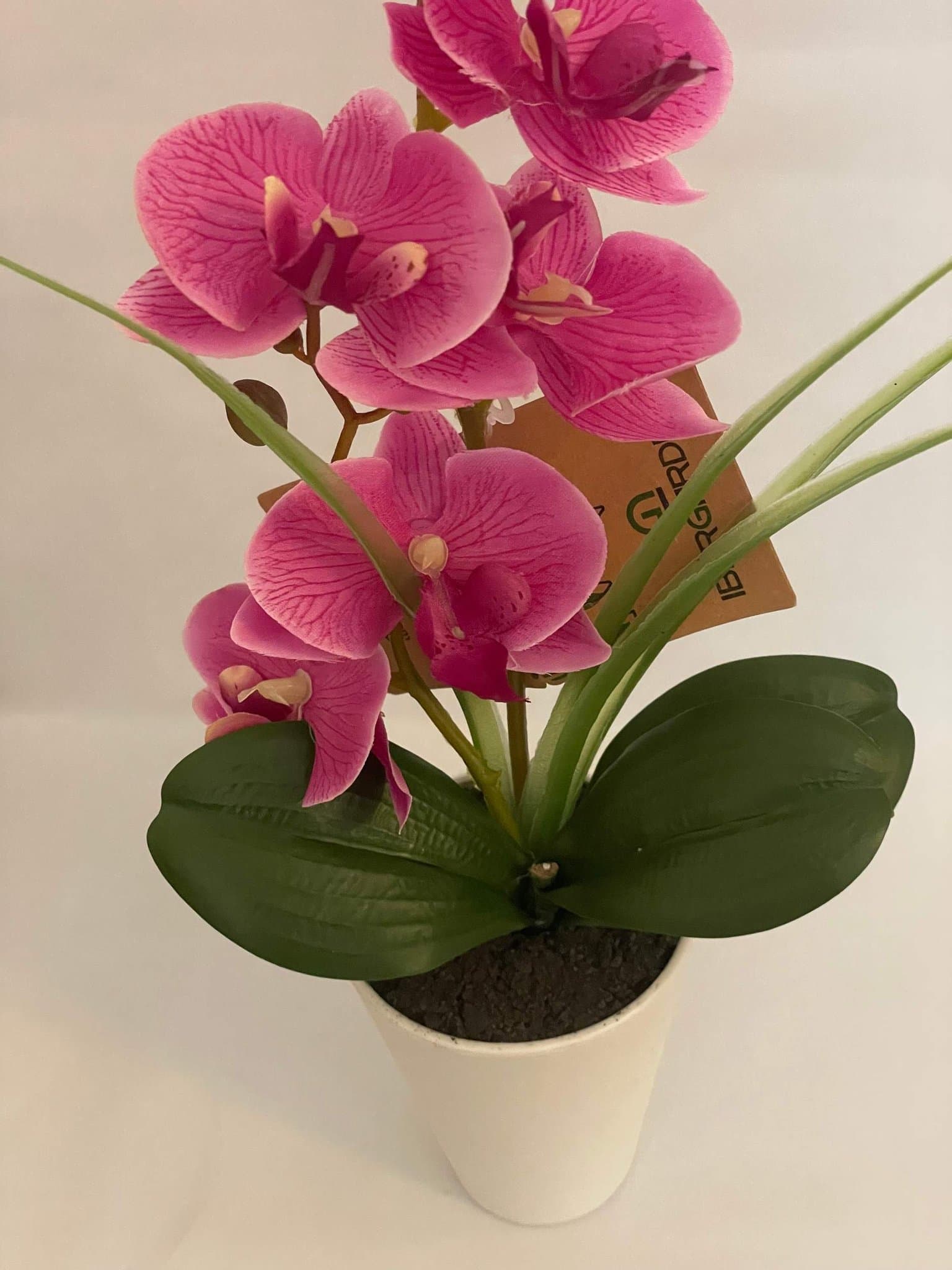 Konstgjord Orkide/ Cerise i vit kruka