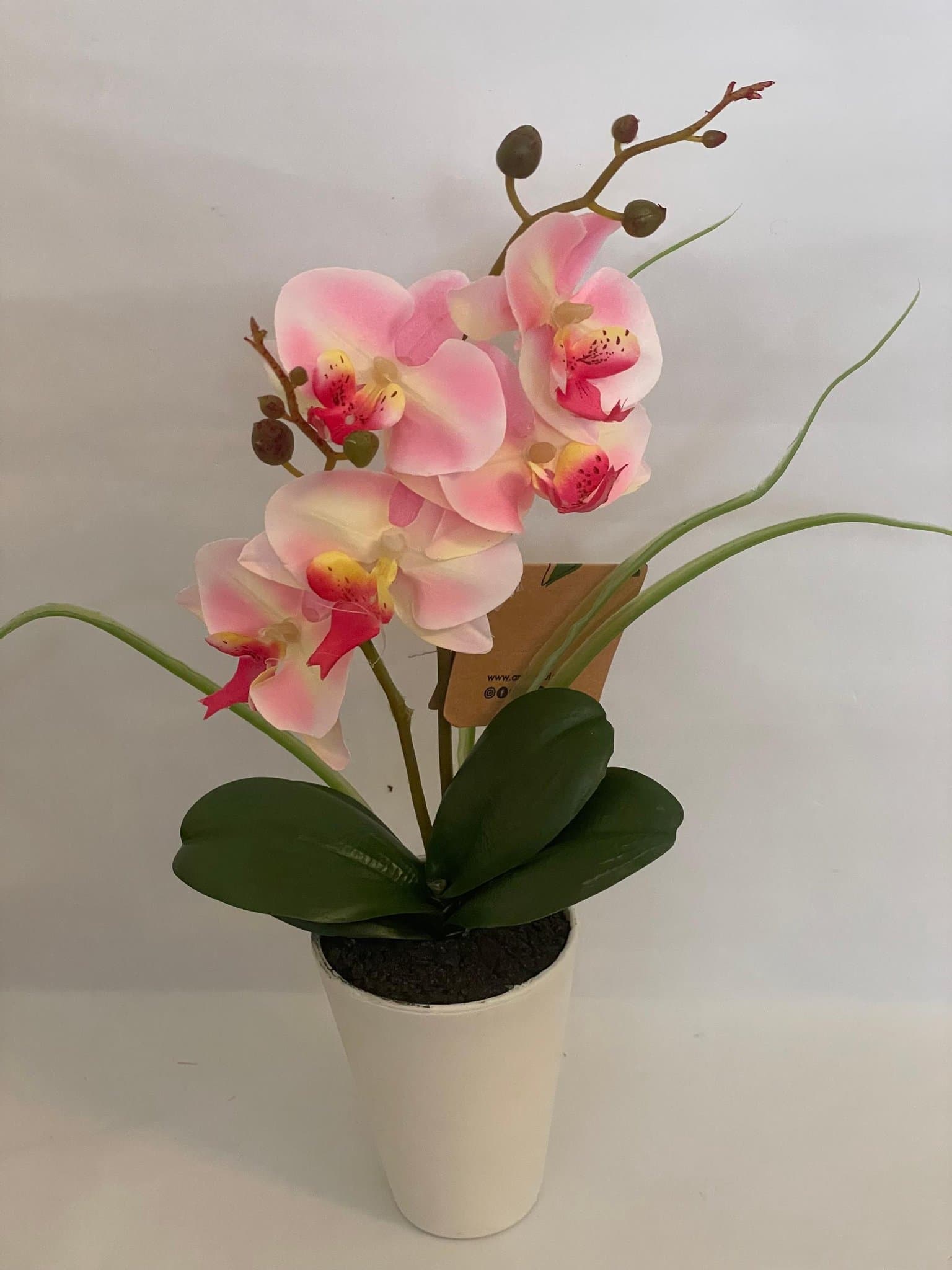 Konstgjord Orkide/ Rosa i vit kruka