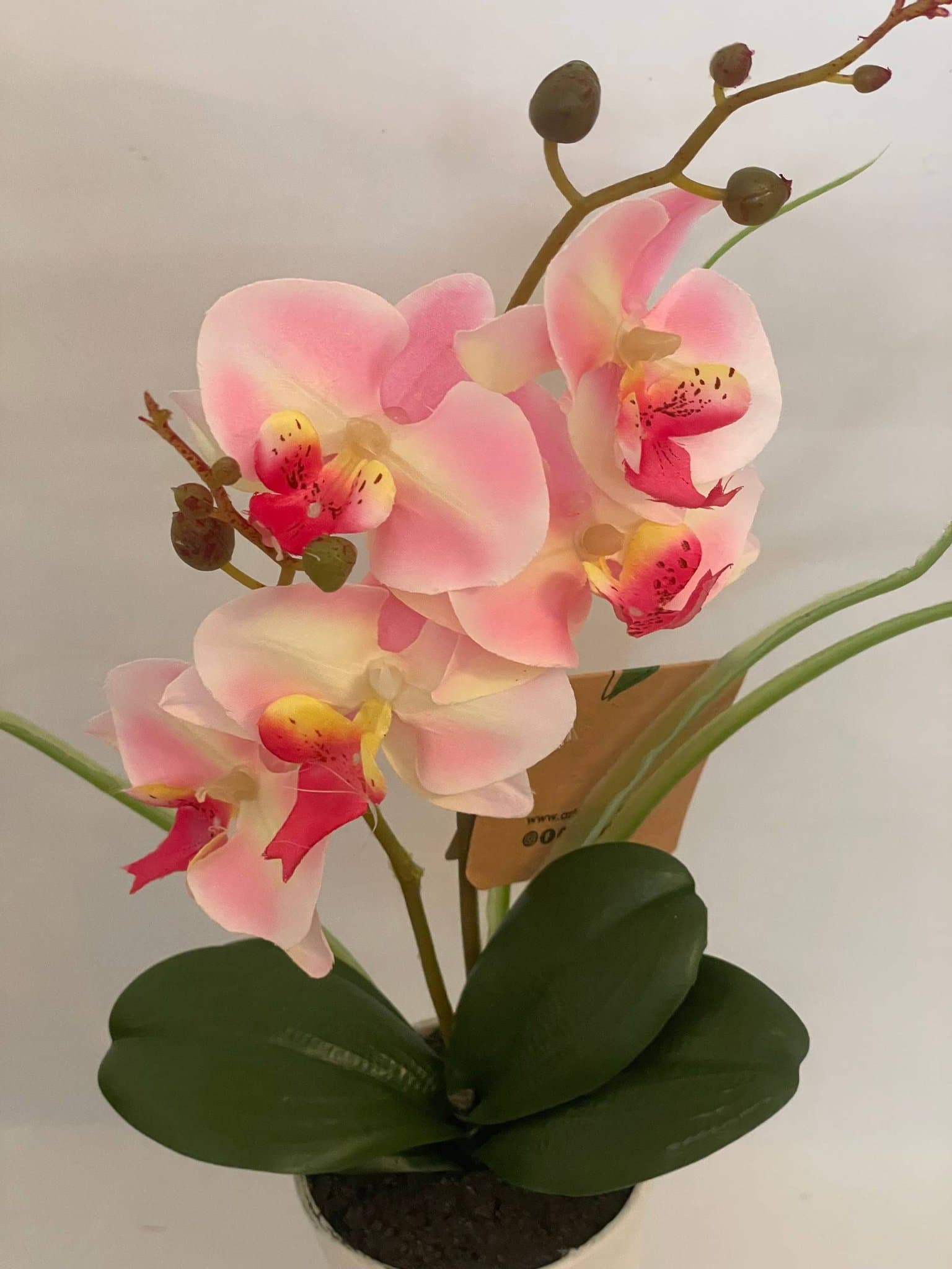 Konstgjord Orkide/ Rosa i vit kruka