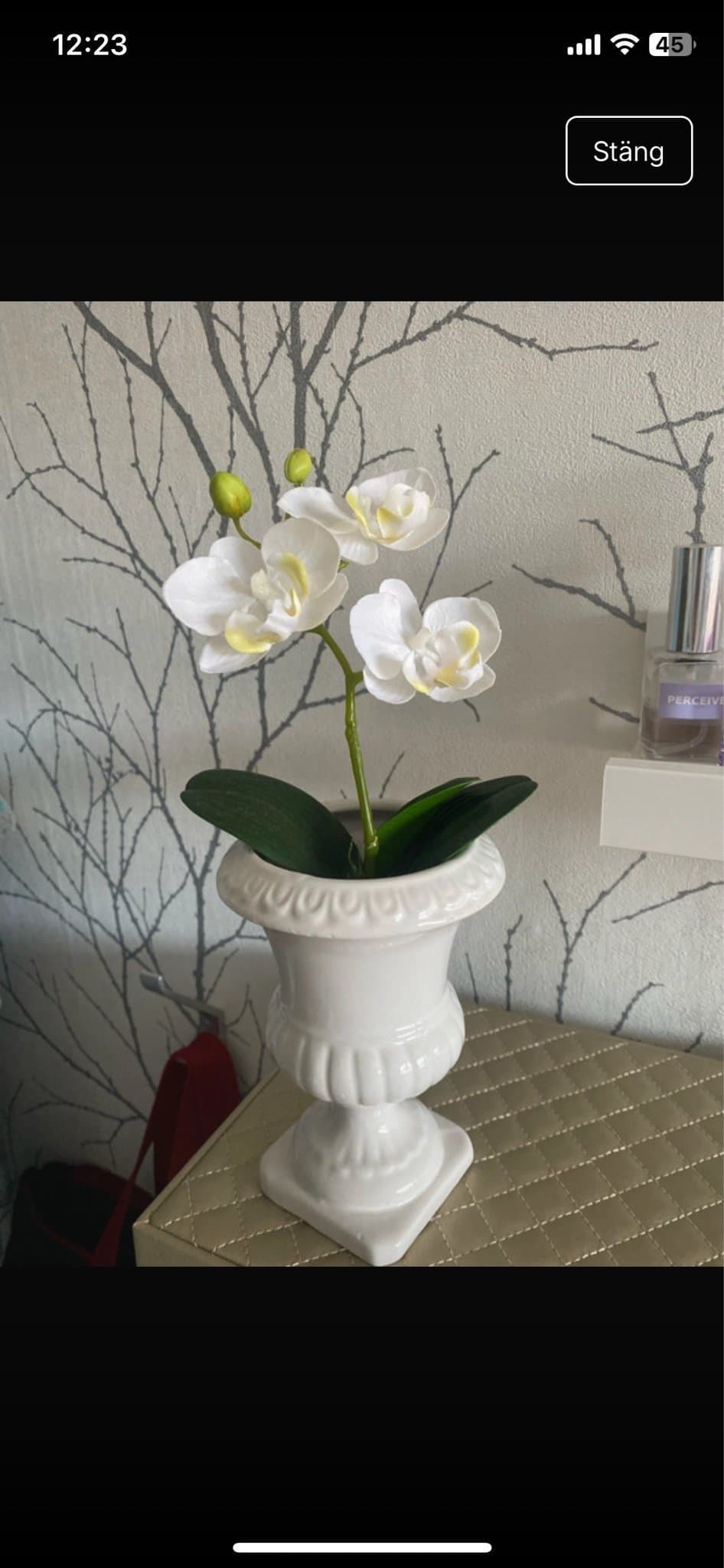 en fin kruka (utan orkide)