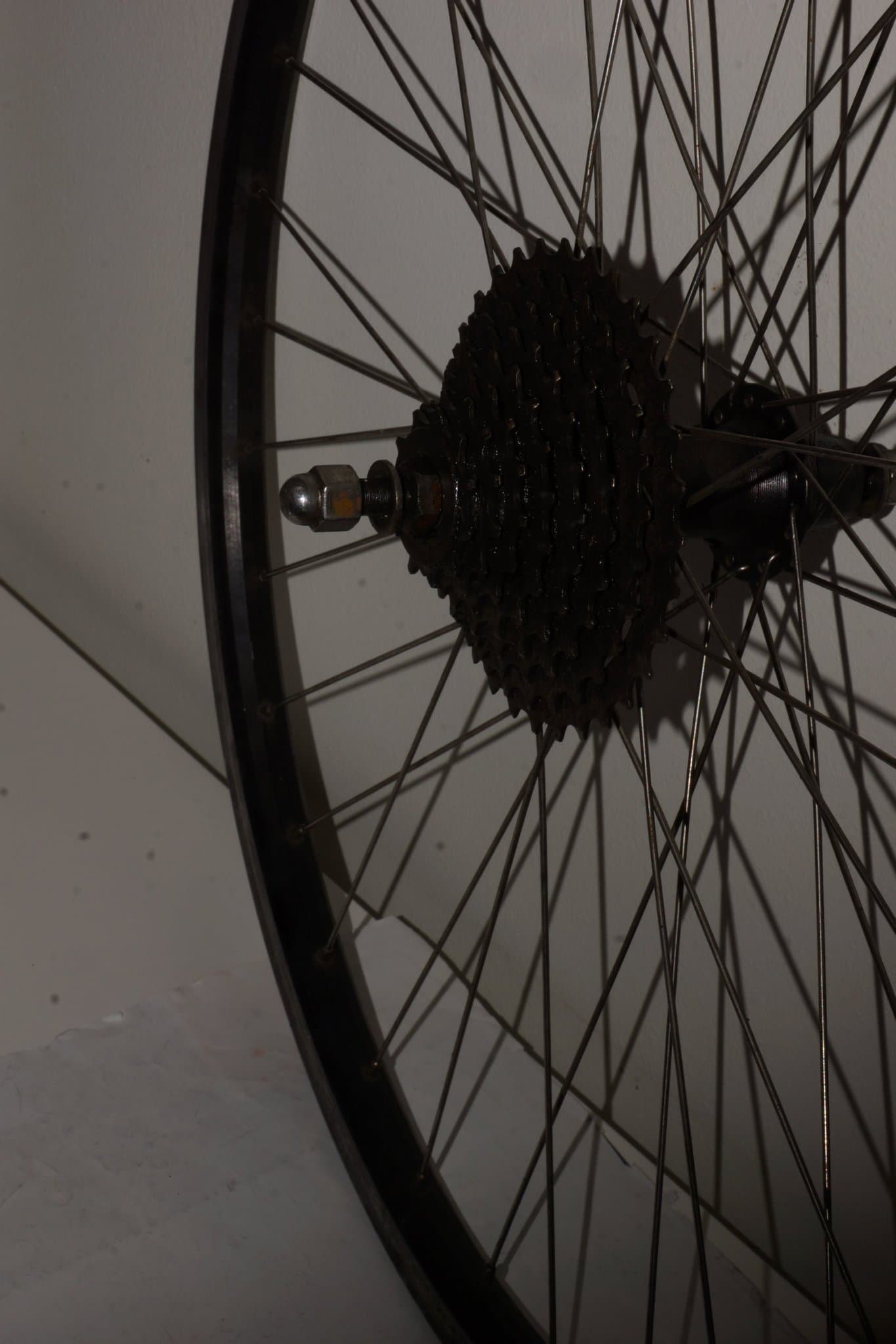 Cykelfälg Alexrims DH20