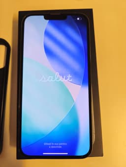 Iphone 13 pro max 256 mycket fint skick