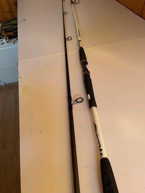 DIAMANT JIACHENG CARP KASTSPÖ CARBON 2,865 METER VÄGER 0,300 GRAM