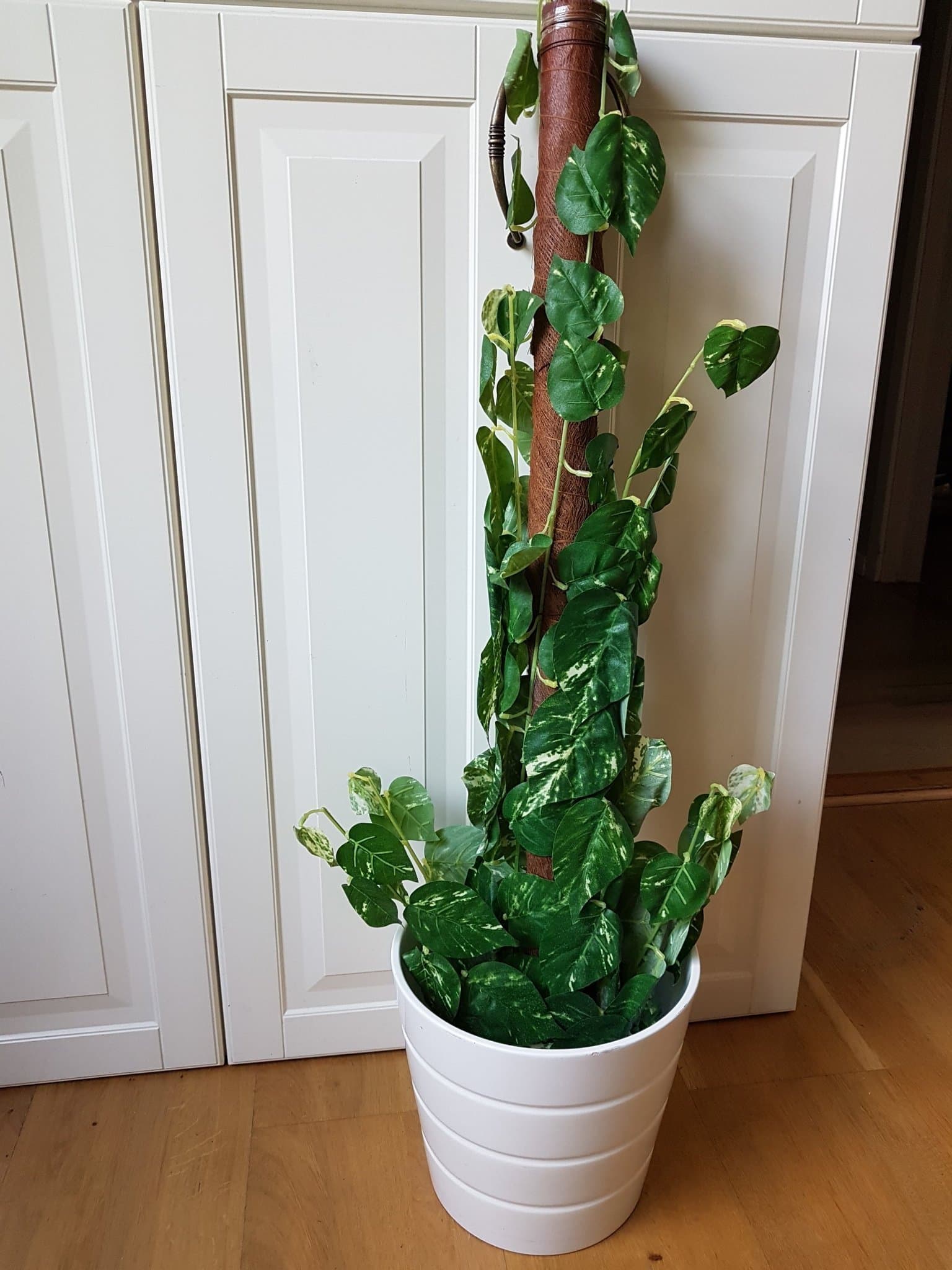 Konstträd "Gullranka" på mosstock Höjd 92cm