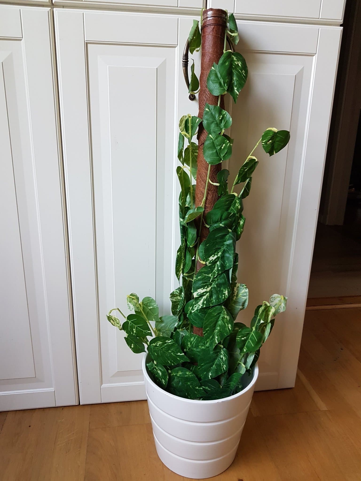 Konstträd "Gullranka" på mosstock Höjd 92cm