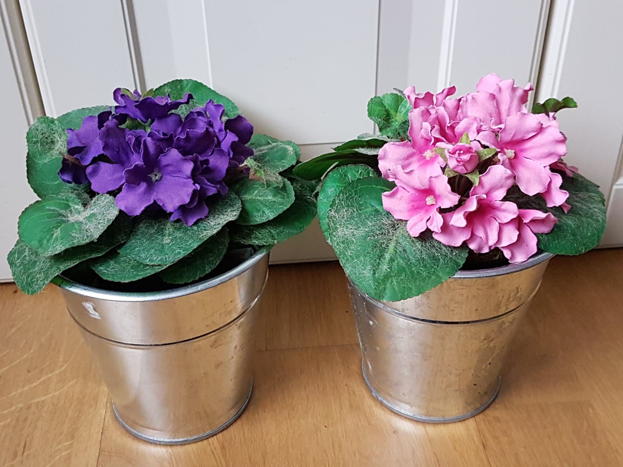 Konstgjorda blommor i Kruka. Saintpaulia