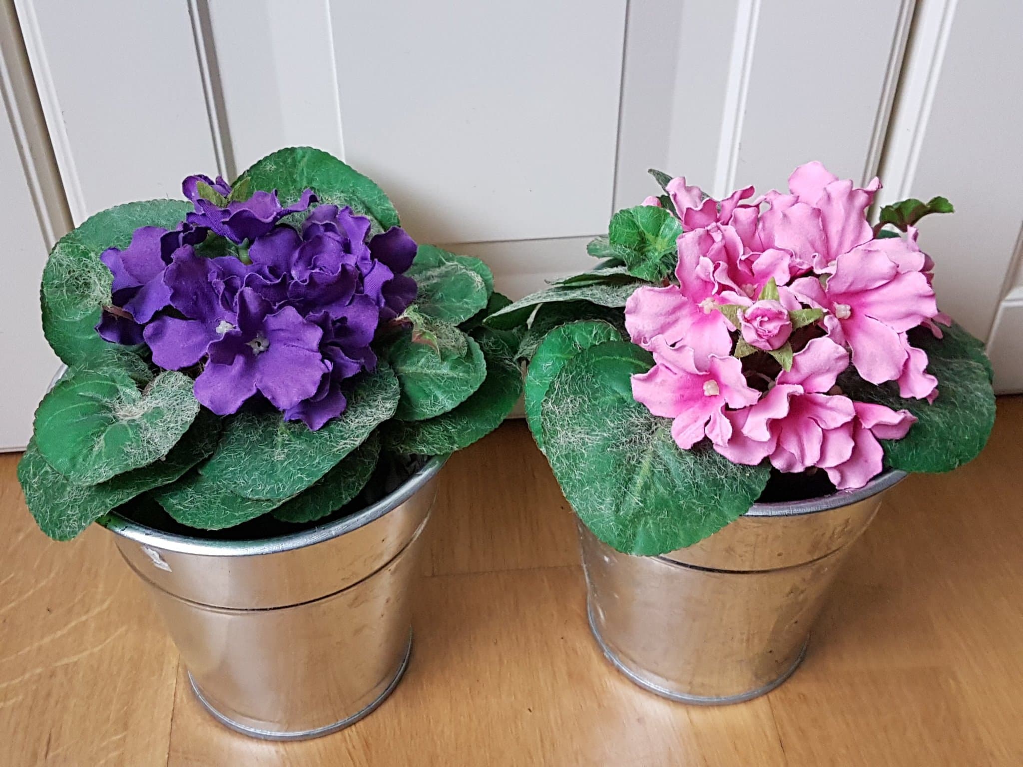 Konstgjorda blommor i Kruka. Saintpaulia