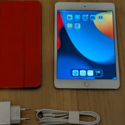 iPad mini 4 i braskick