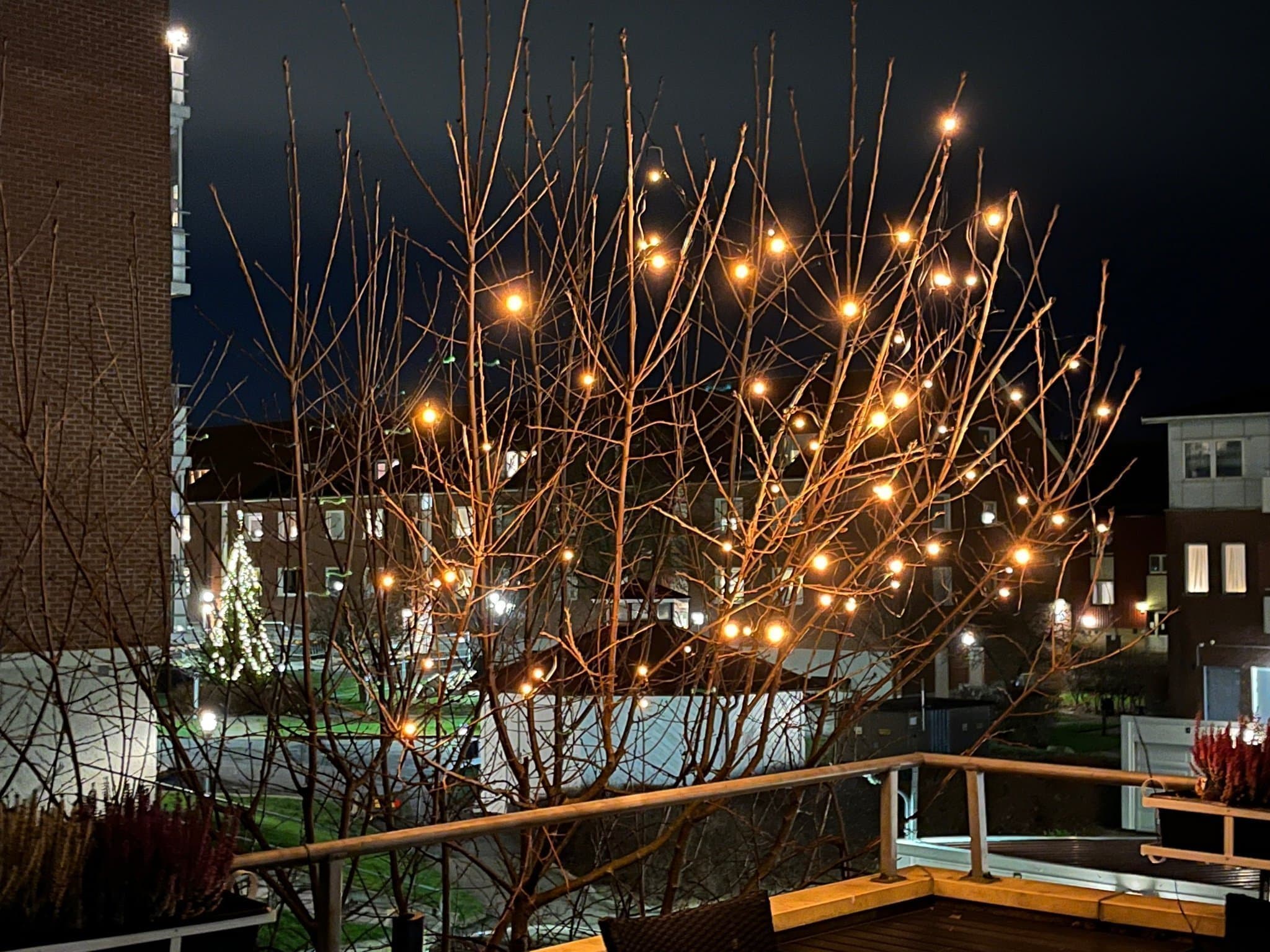 Konstsmide ljusnät julbelysning med ledlampor i guldfärg