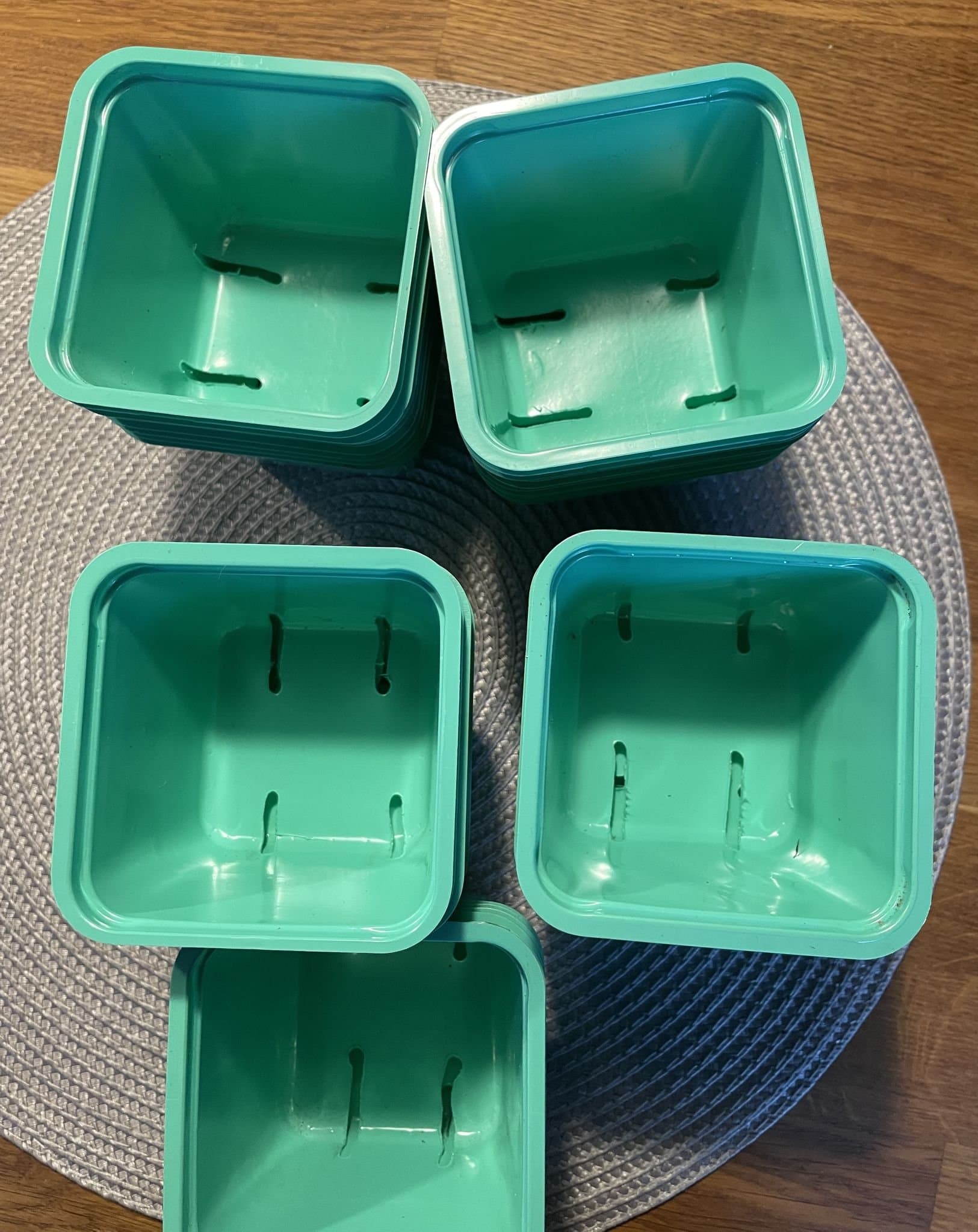 Odlings krukor/burkar för sådd 50 st