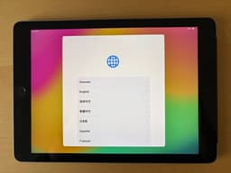 Apple iPad 6th gen WiFi + cellular