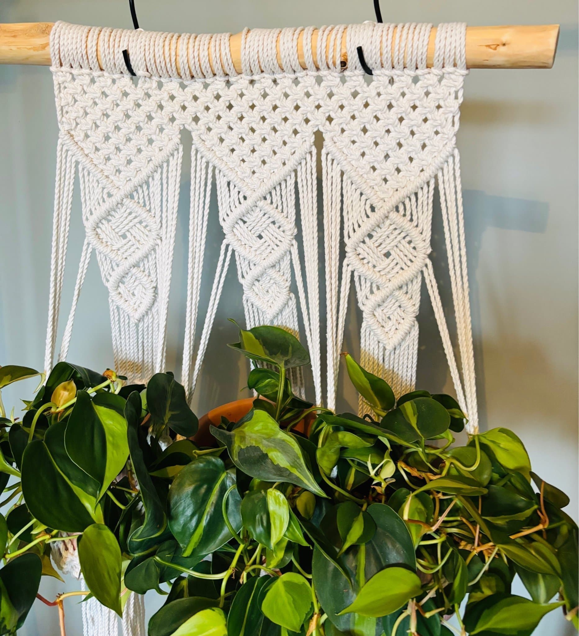 Ampel/växthängare VERDE CHARM