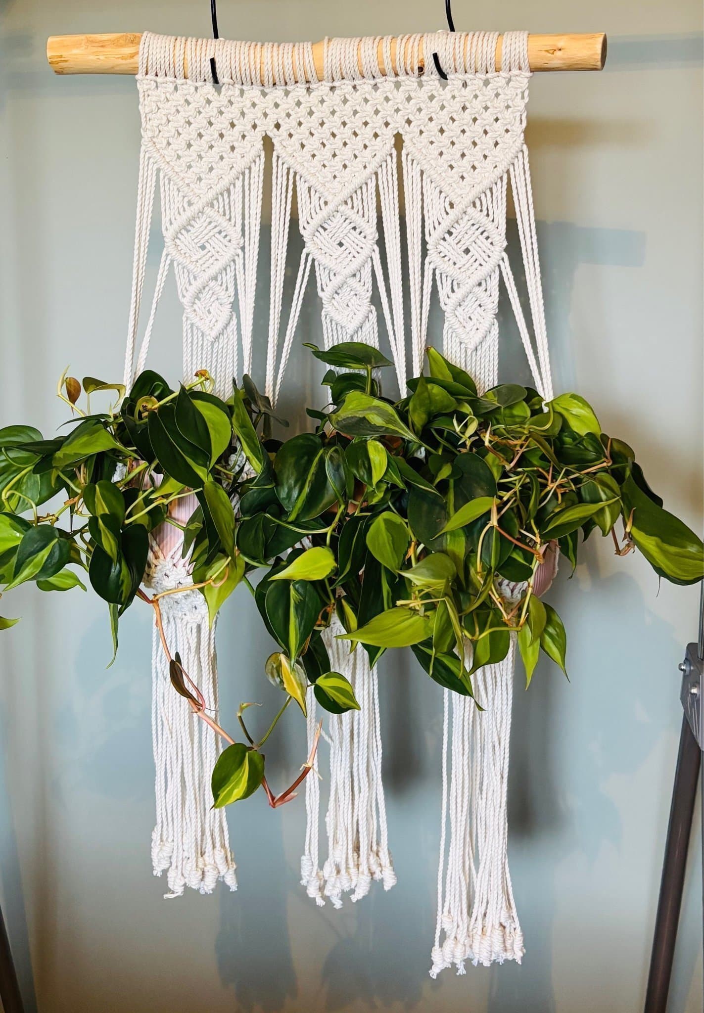 Ampel/växthängare VERDE CHARM