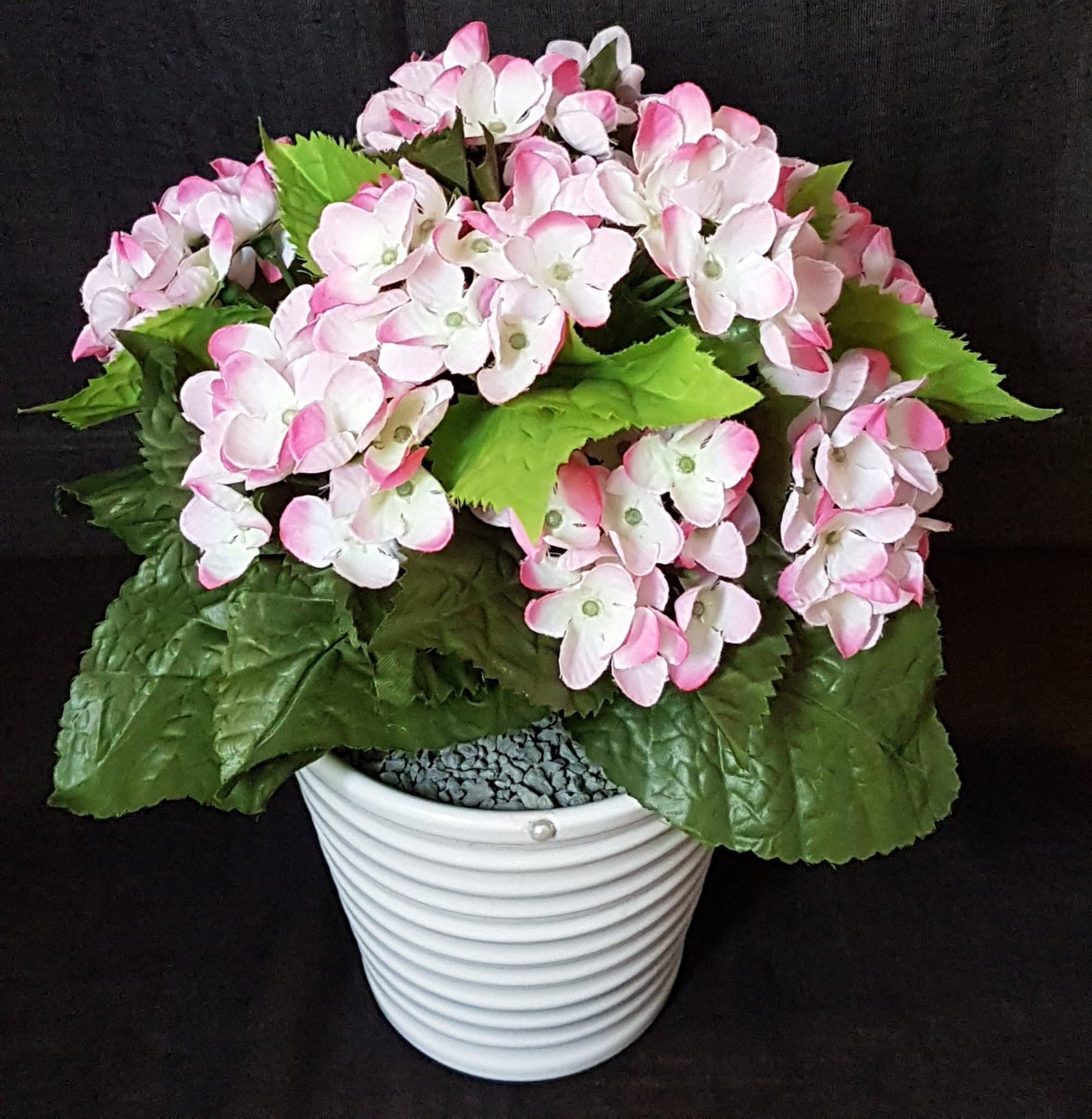 Vacker och lättplacerad växt i kruka med naturtroget utseende