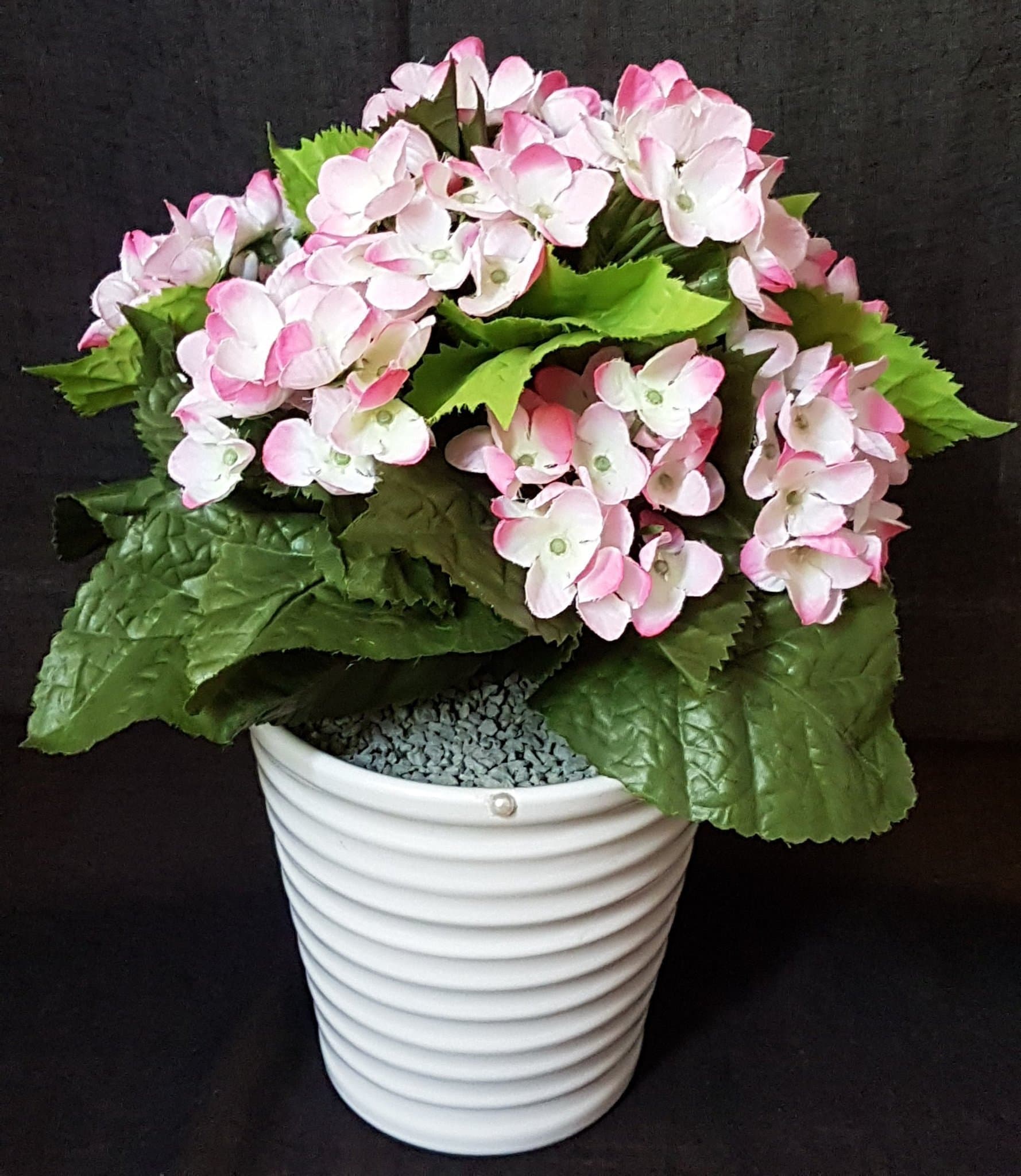 Vacker och lättplacerad växt i kruka med naturtroget utseende