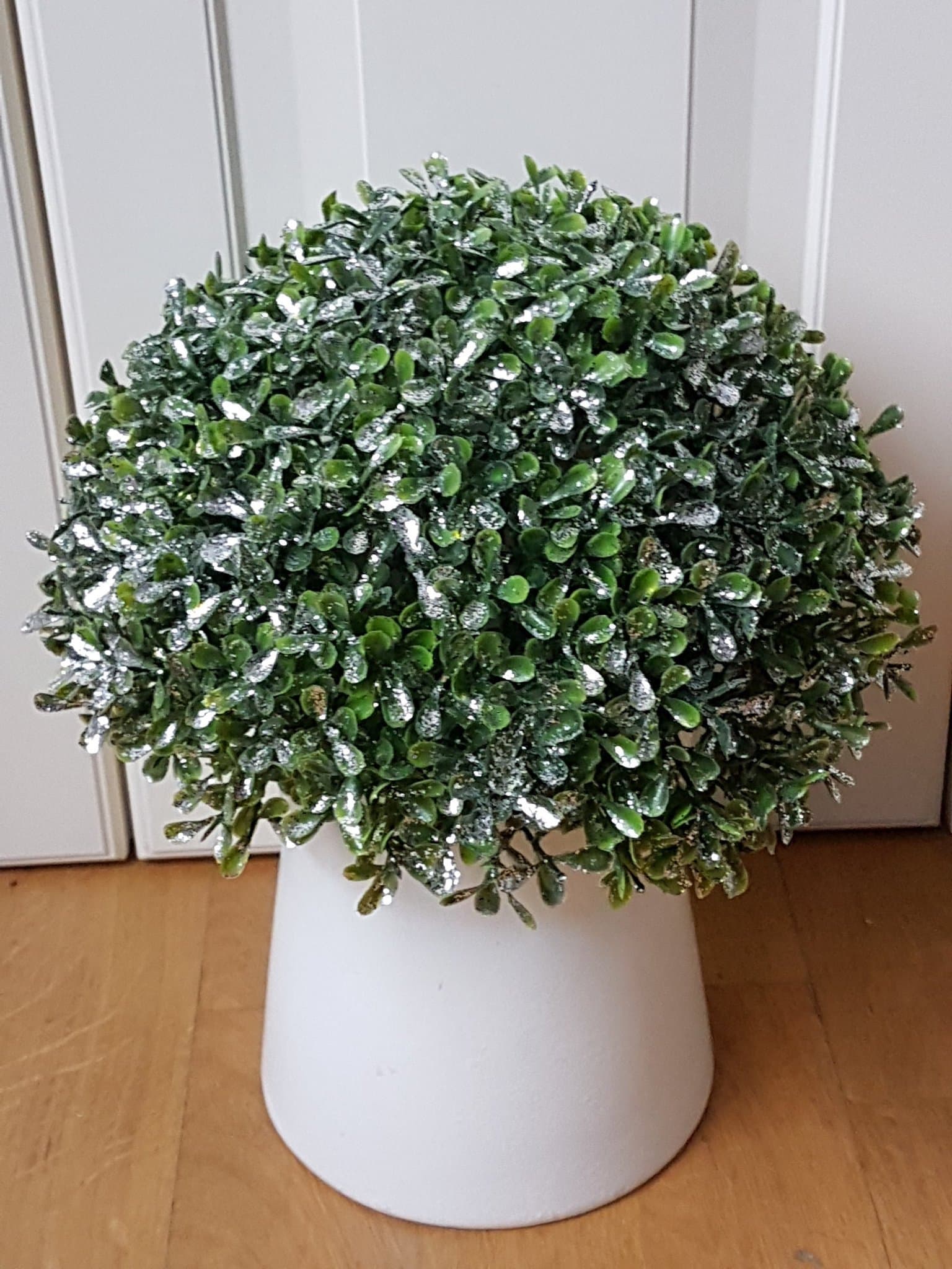 Vacker glittrande buxbom i kruka. En konstväxt med täta blad.