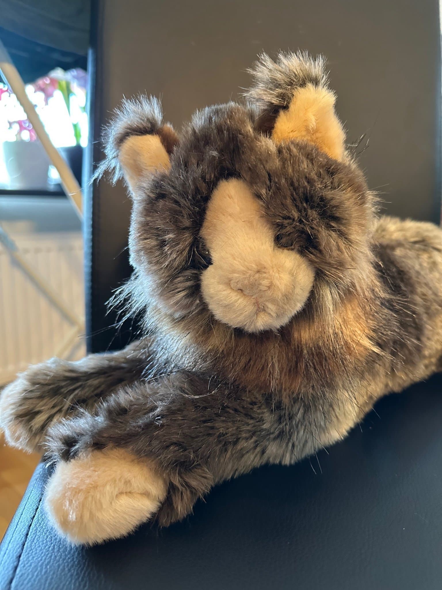 Mjukdjur Katt douglas maine coon dlux