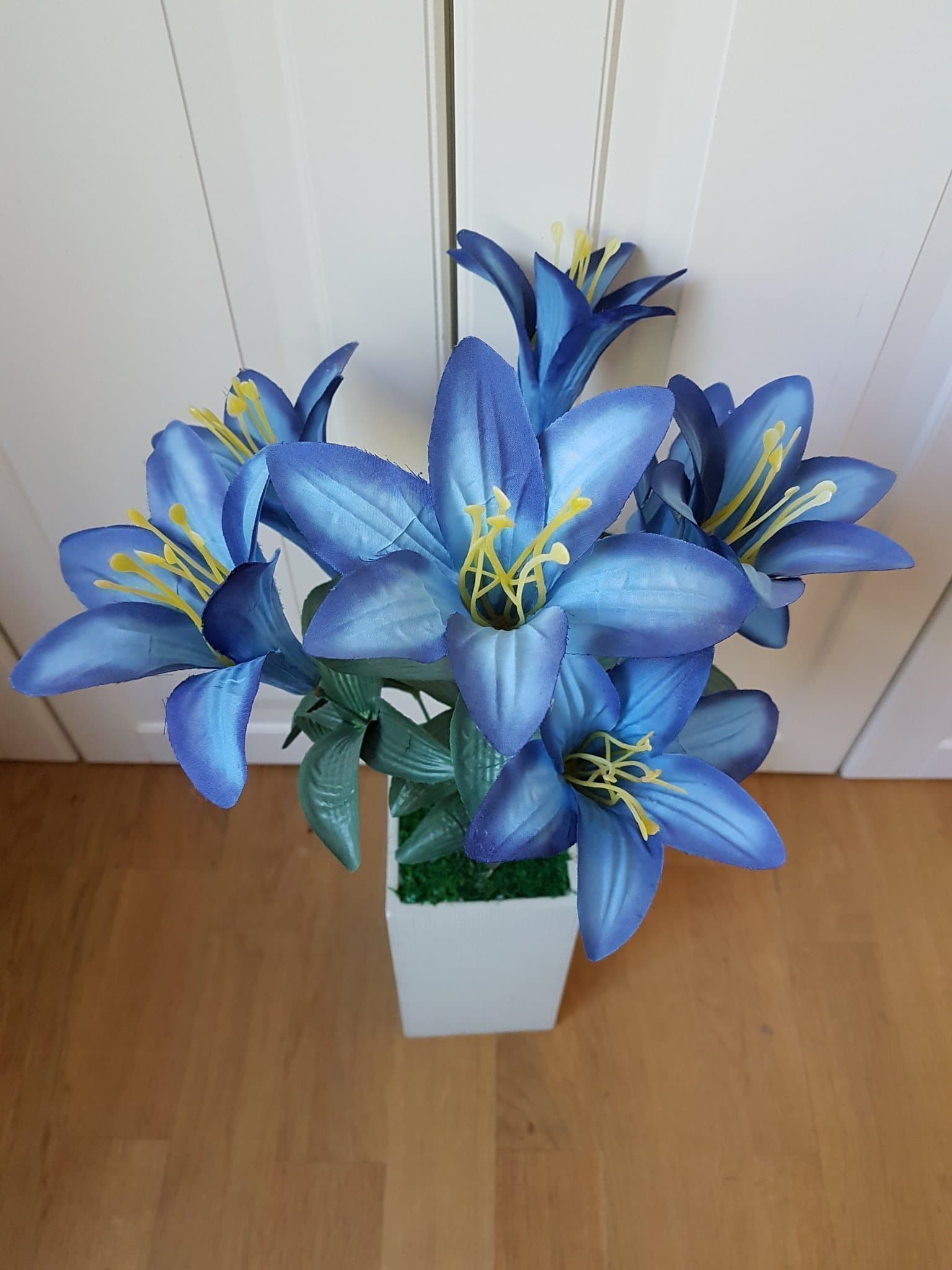 Underbar lättplacerad växt i kruka med naturtroget utseende