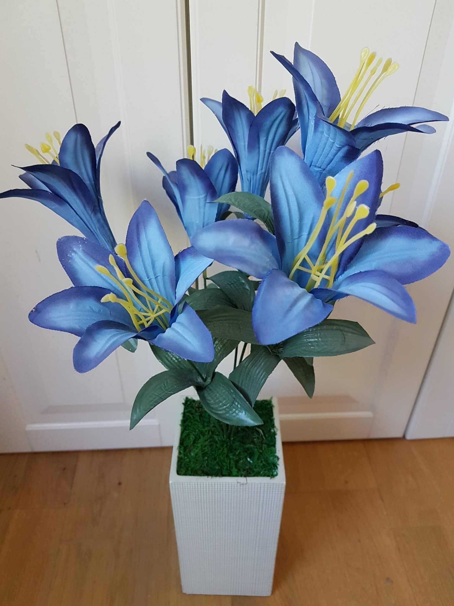 Underbar lättplacerad växt i kruka med naturtroget utseende