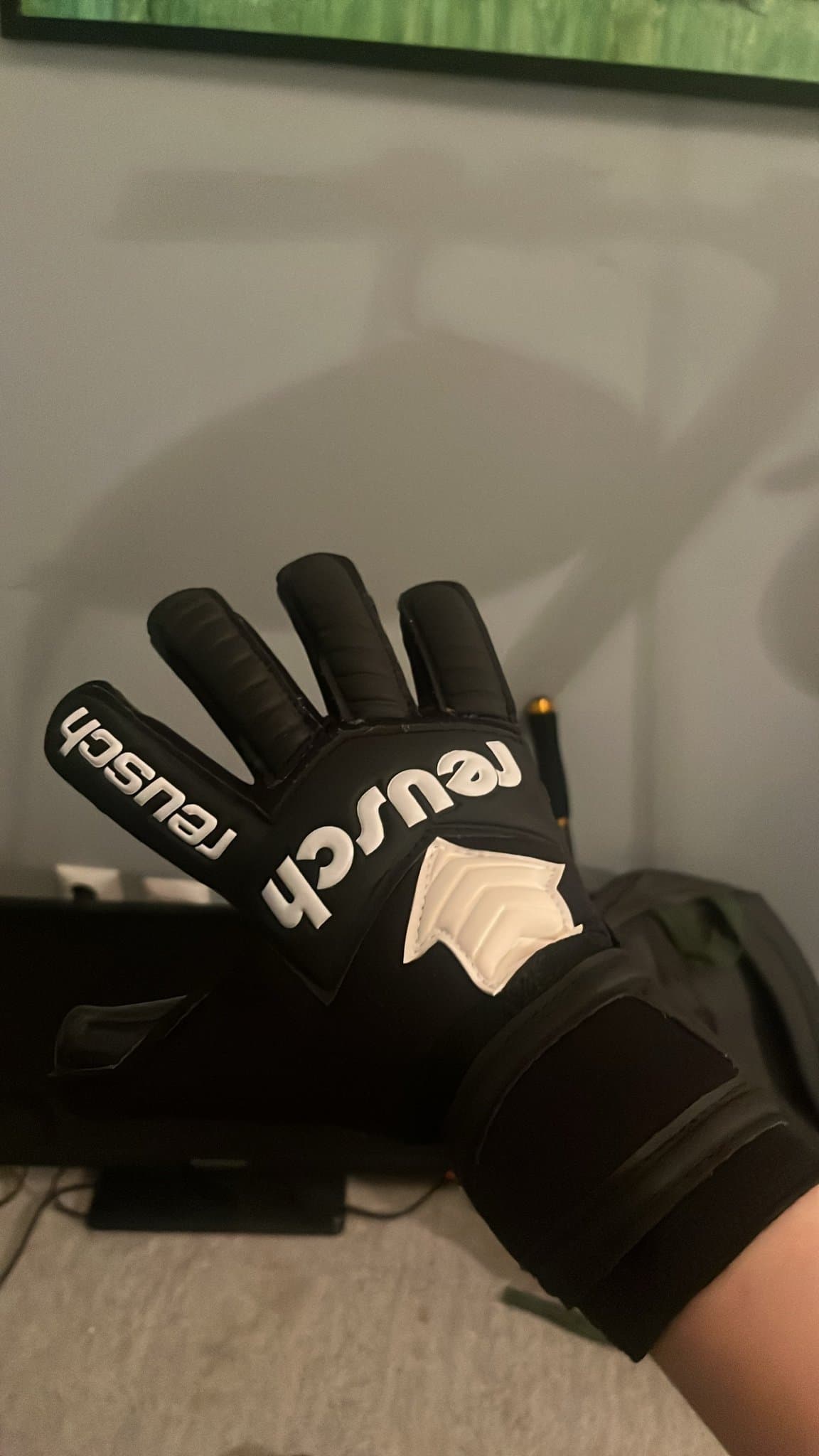 Reusch målvaktshandskar