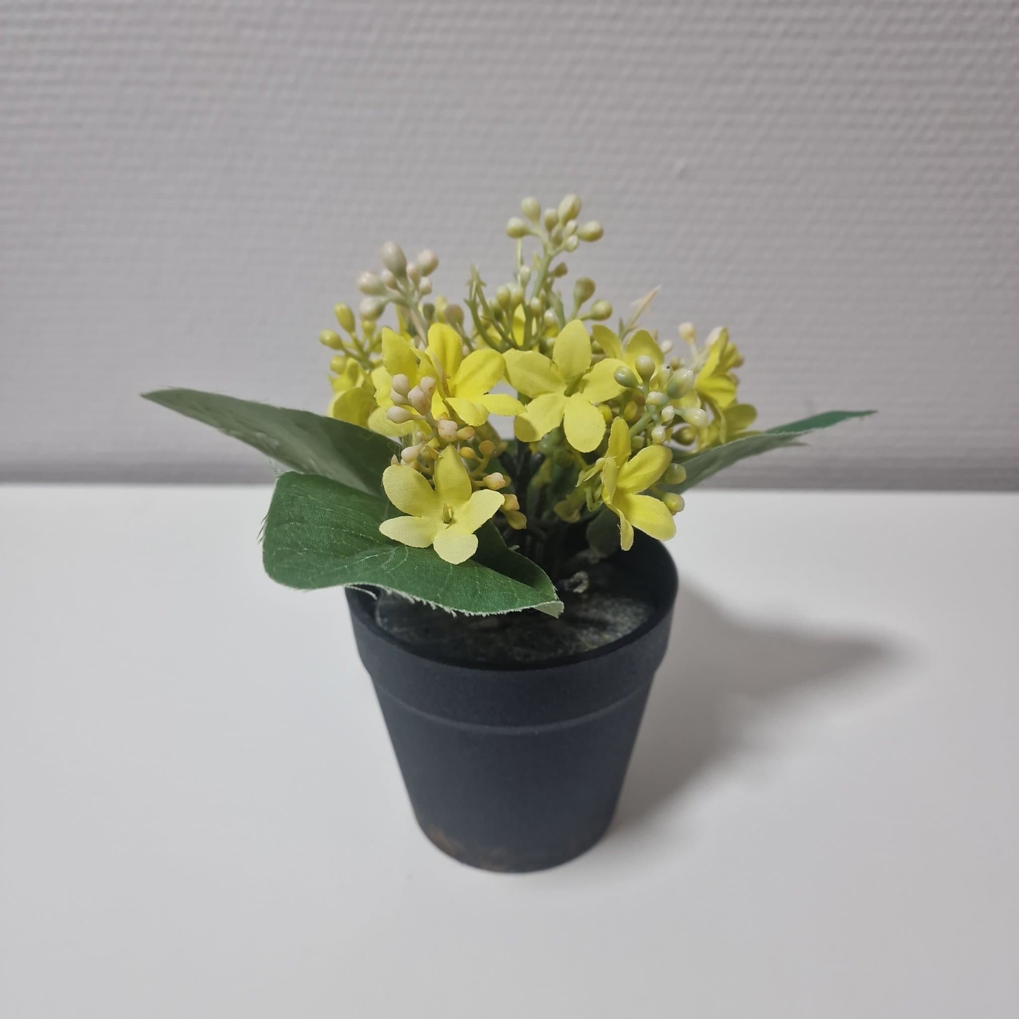 Dekorativa Konstgjorda Växter