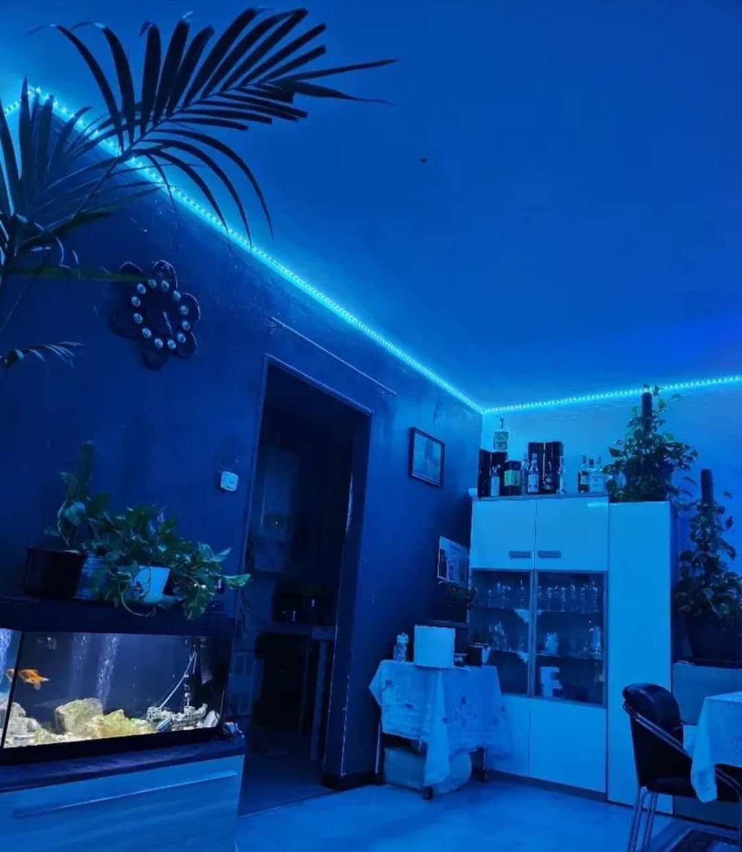 LED-ljusslinga med fjärrkontroll 20meter