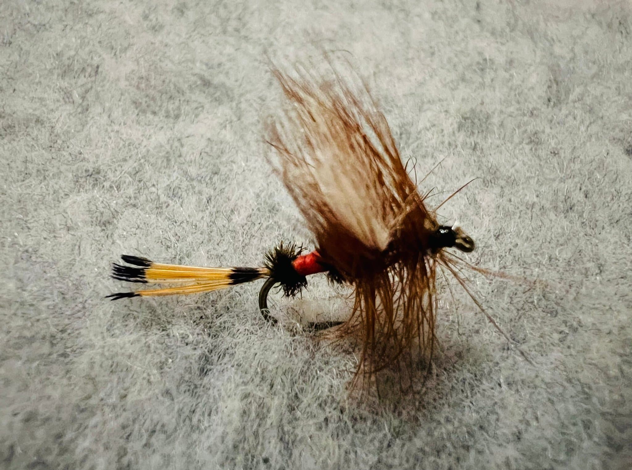 Royal Wulff #12 - 6pack för harr & öring