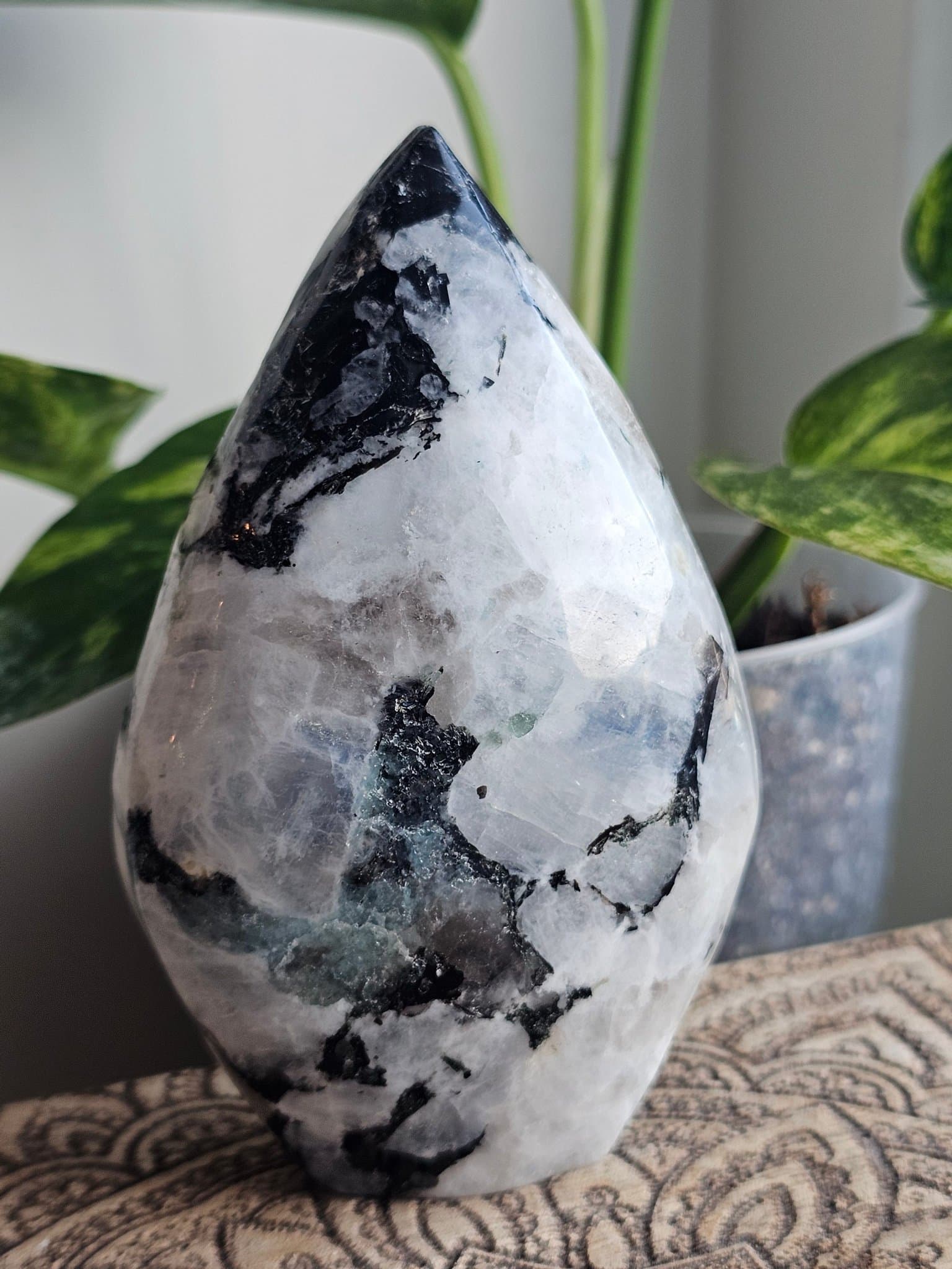 Månsten, polerad freeform