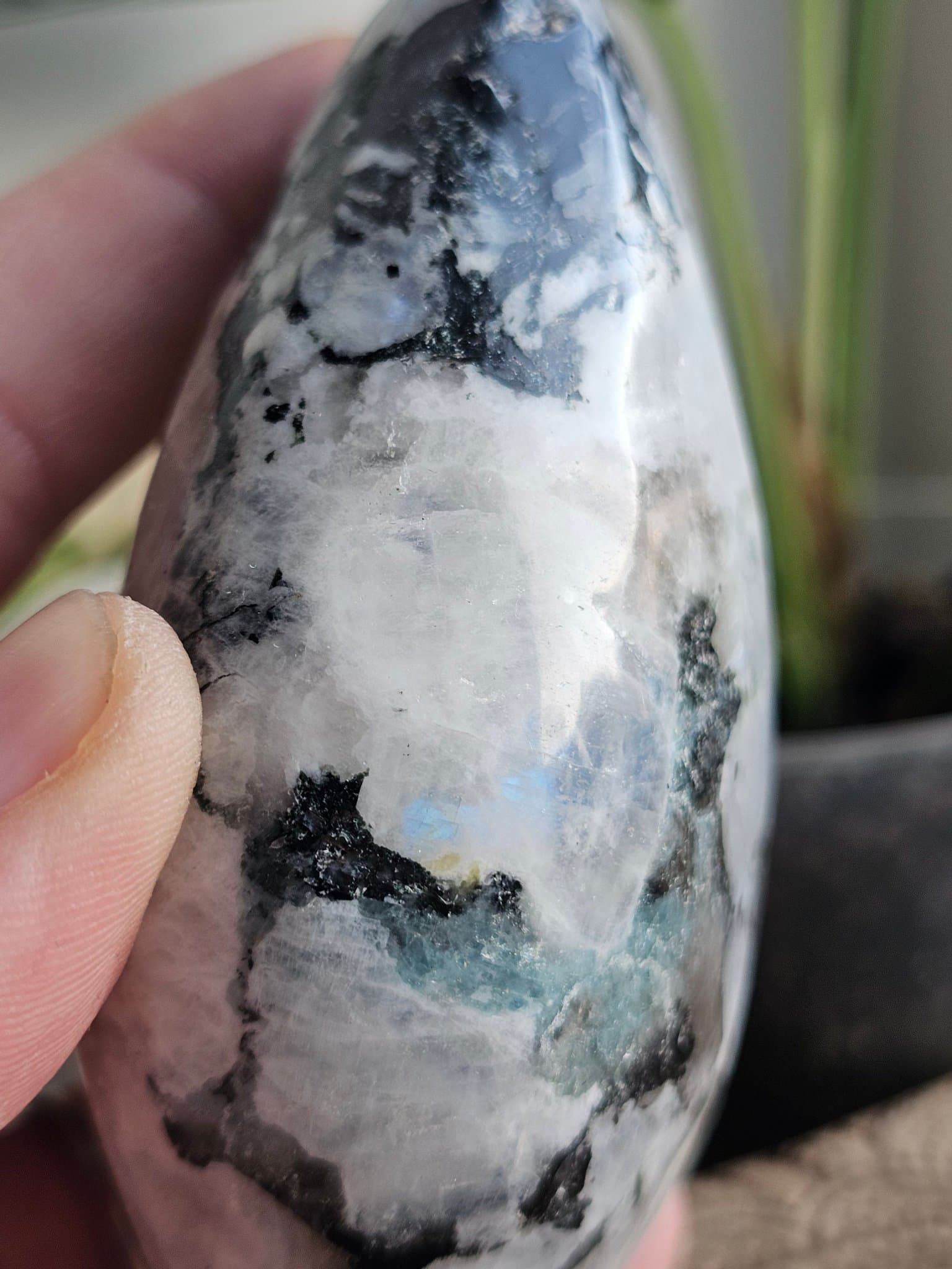 Månsten, polerad freeform