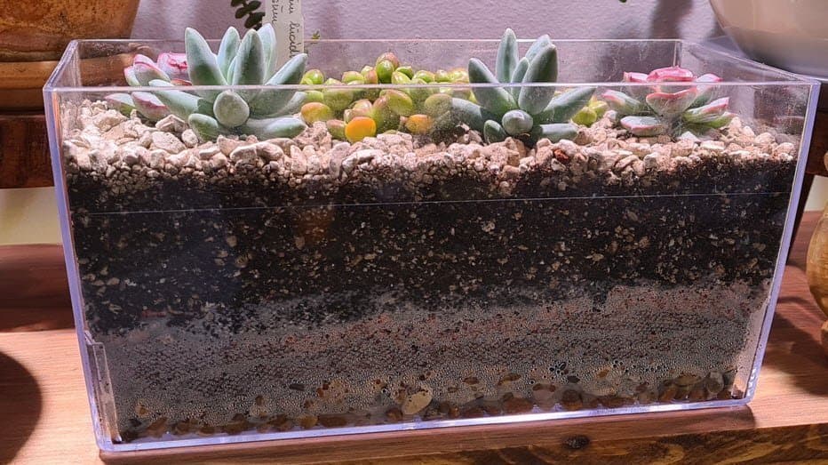 Transparant rektangulär kruka 2st