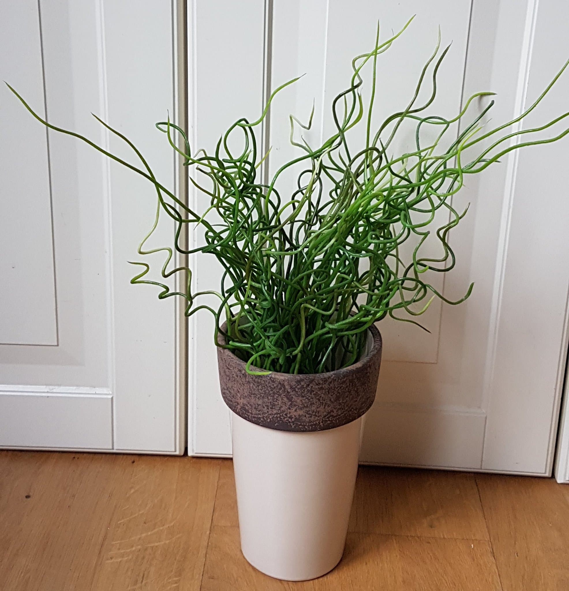 Två Dekorativa Konstgjorda Växter