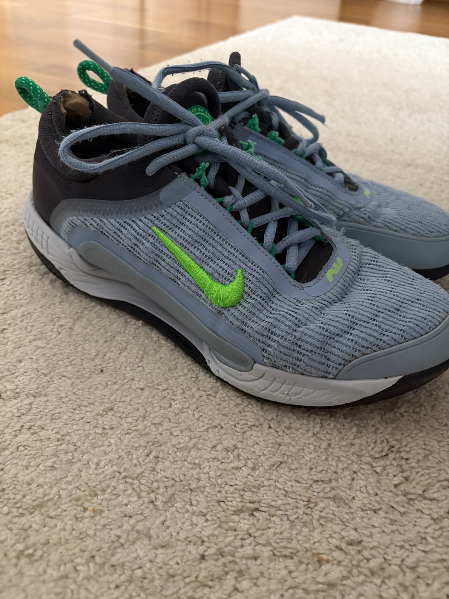 Nike Zoom Court NXT padelskor storlek43