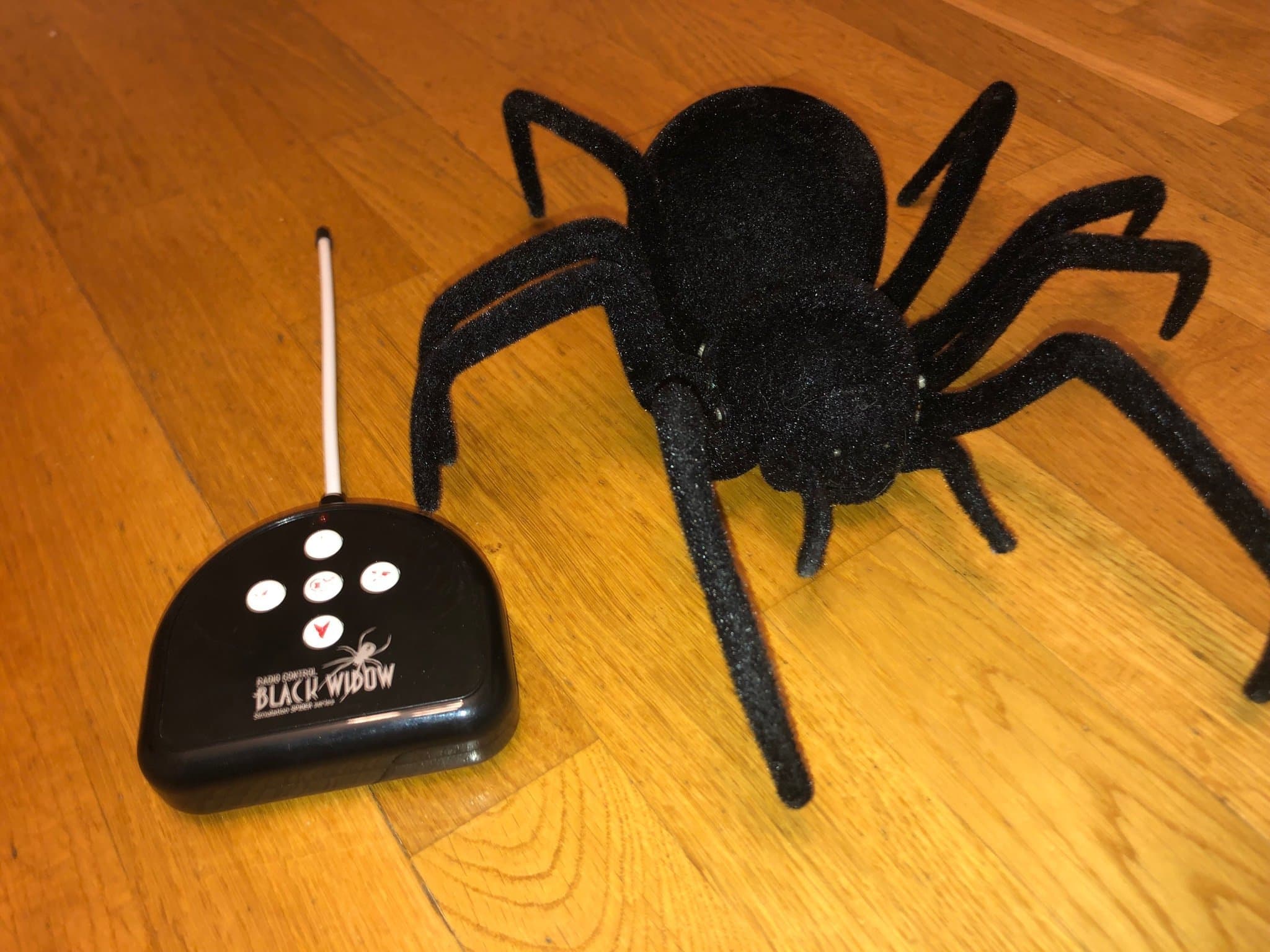 Radiostyrd spindel "Black Widow"