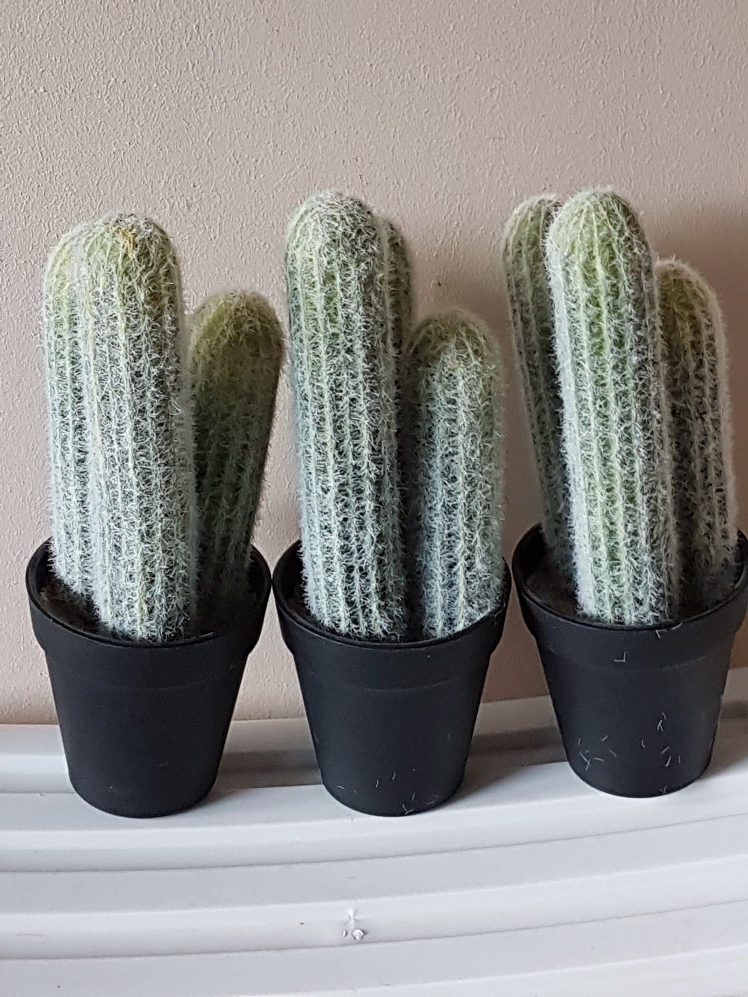 Tre söta konstgjorda kaktusar med taggar