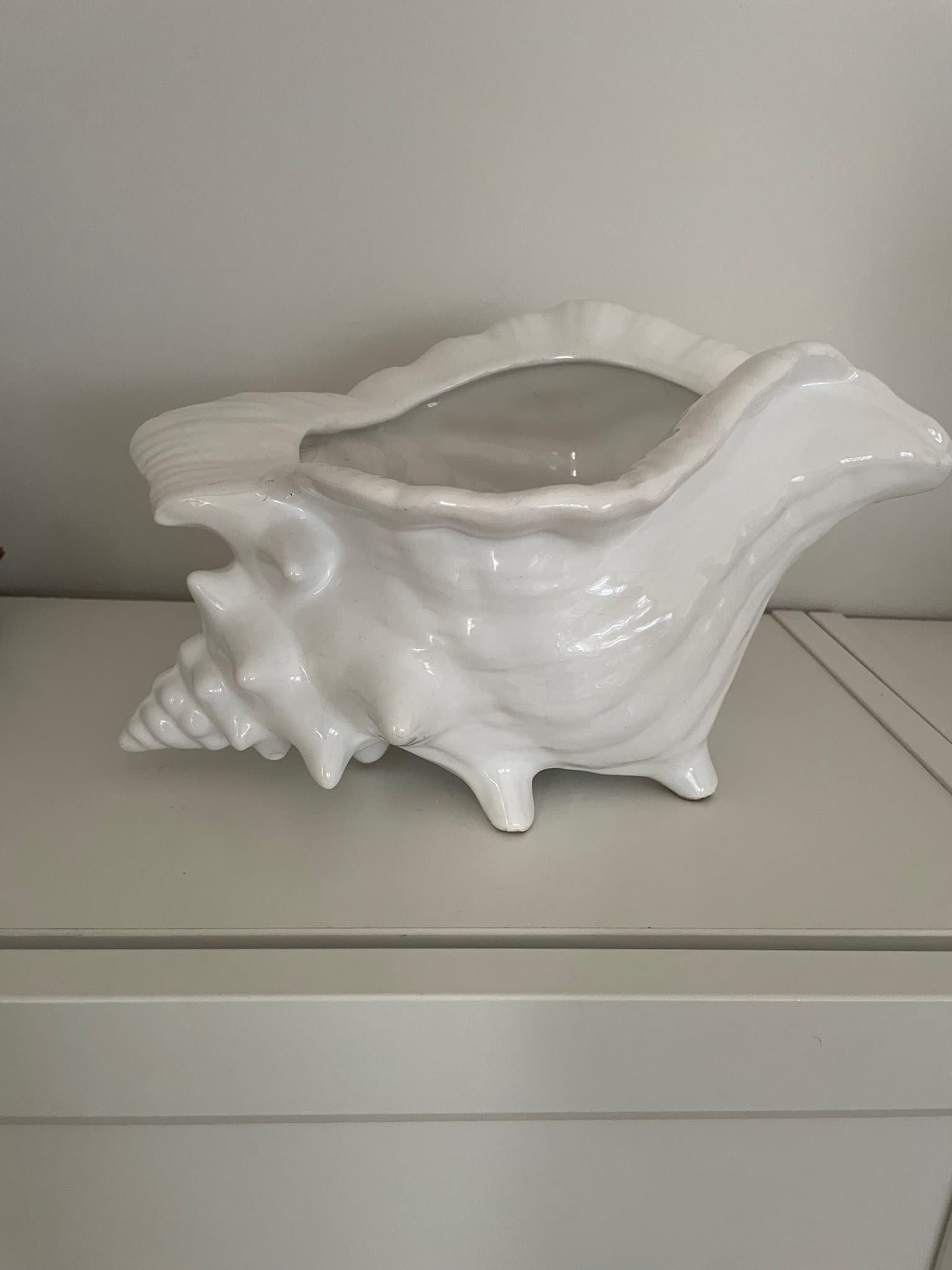 Living Shell Kruka snäcka