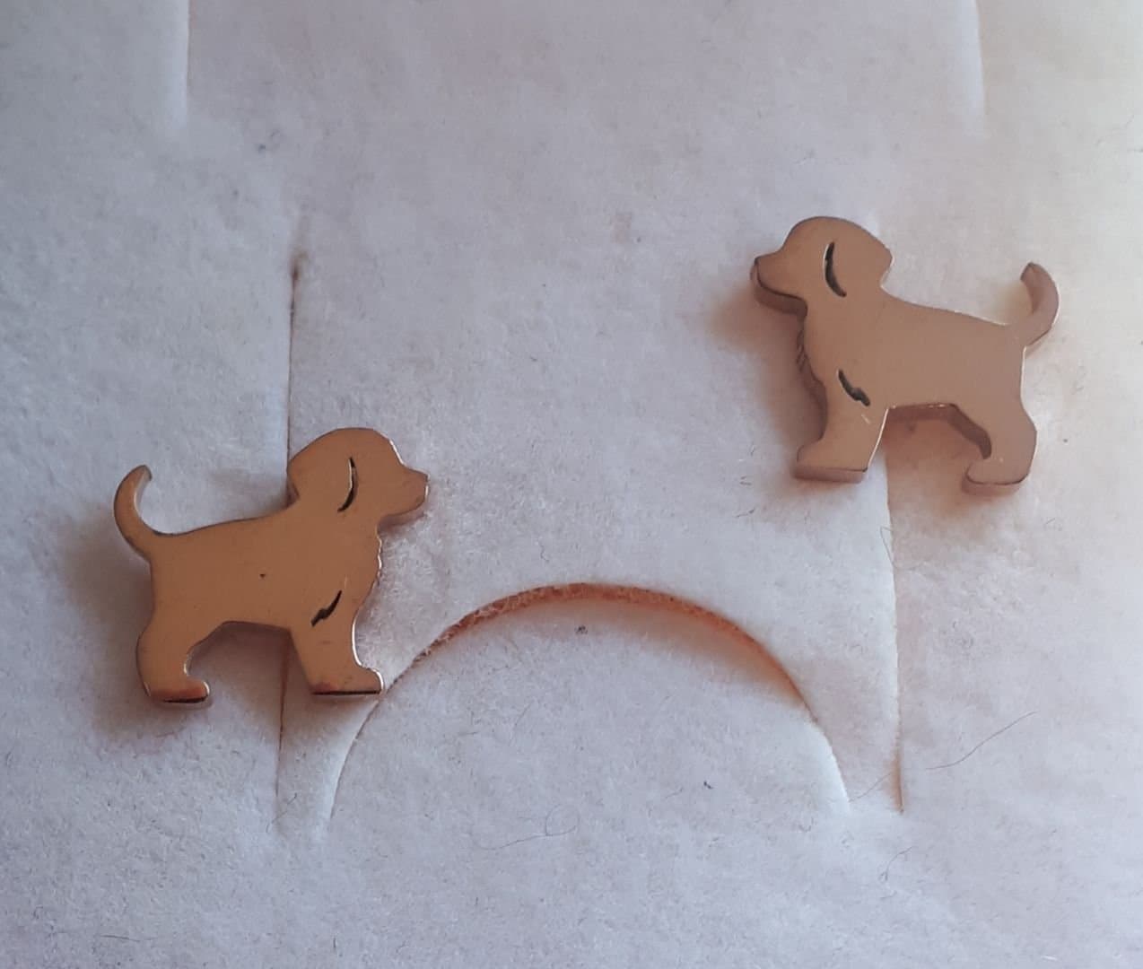 Örhängen / Labradorvalpar / Roseguldfärgade